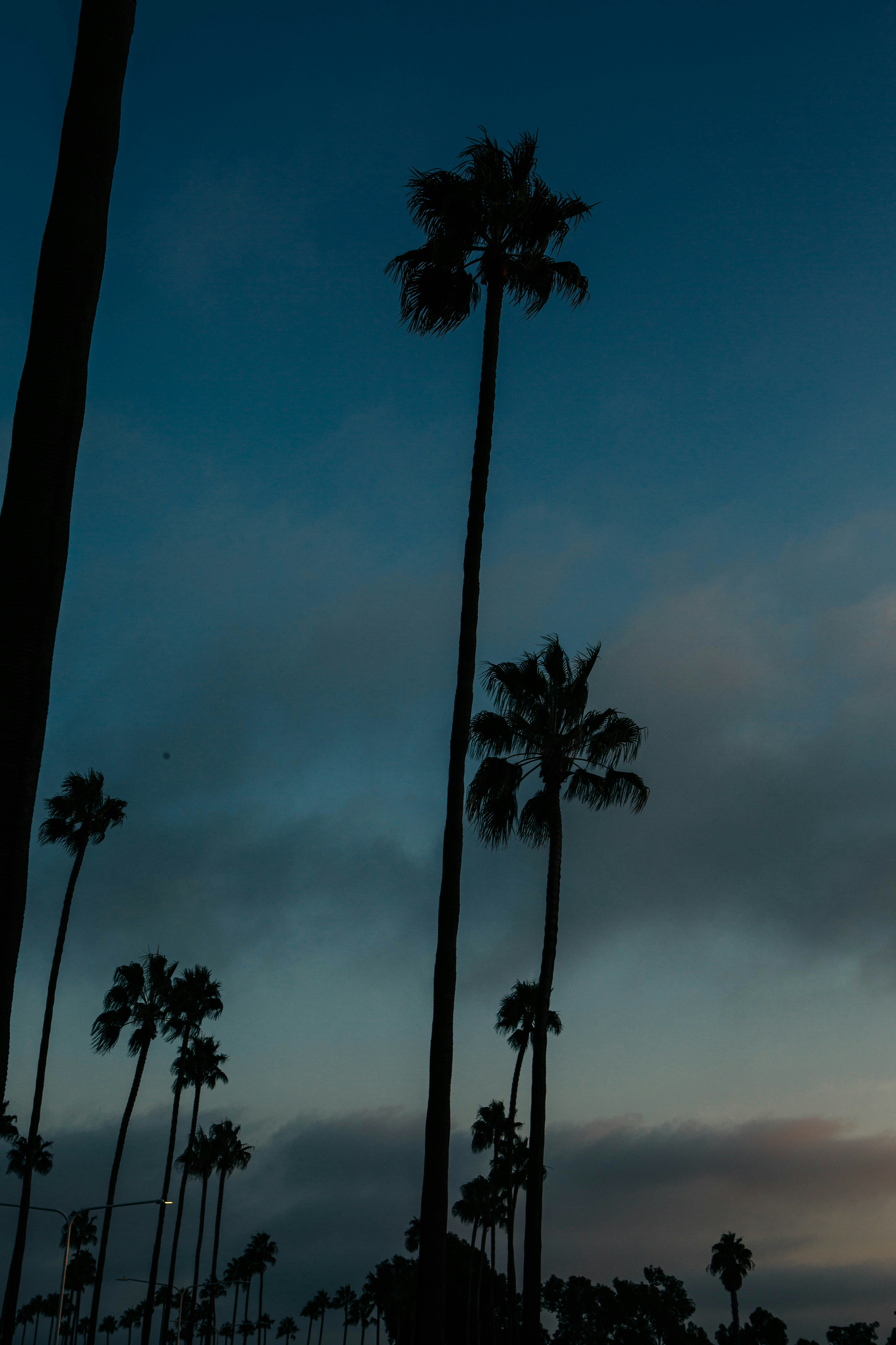 Photo by lexilaginess