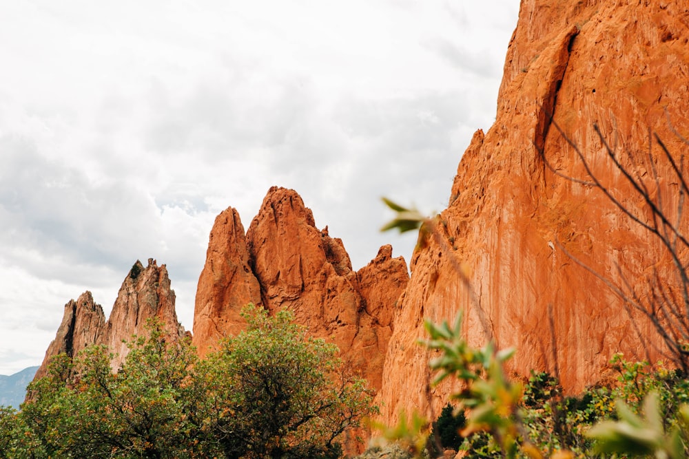a group of trees with a rock formation in the background with Garden of the Gods in the background