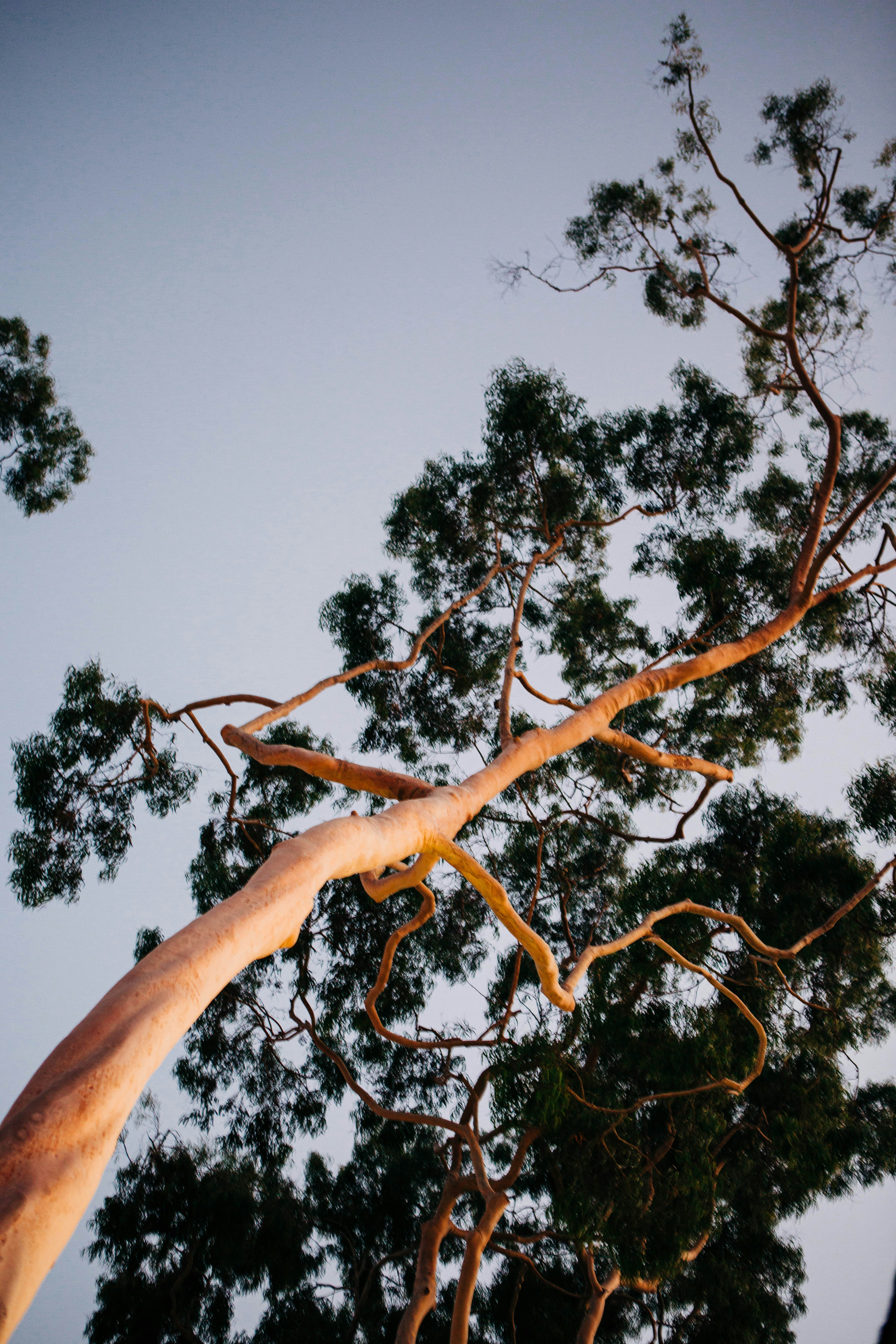 Photo by lexilaginess