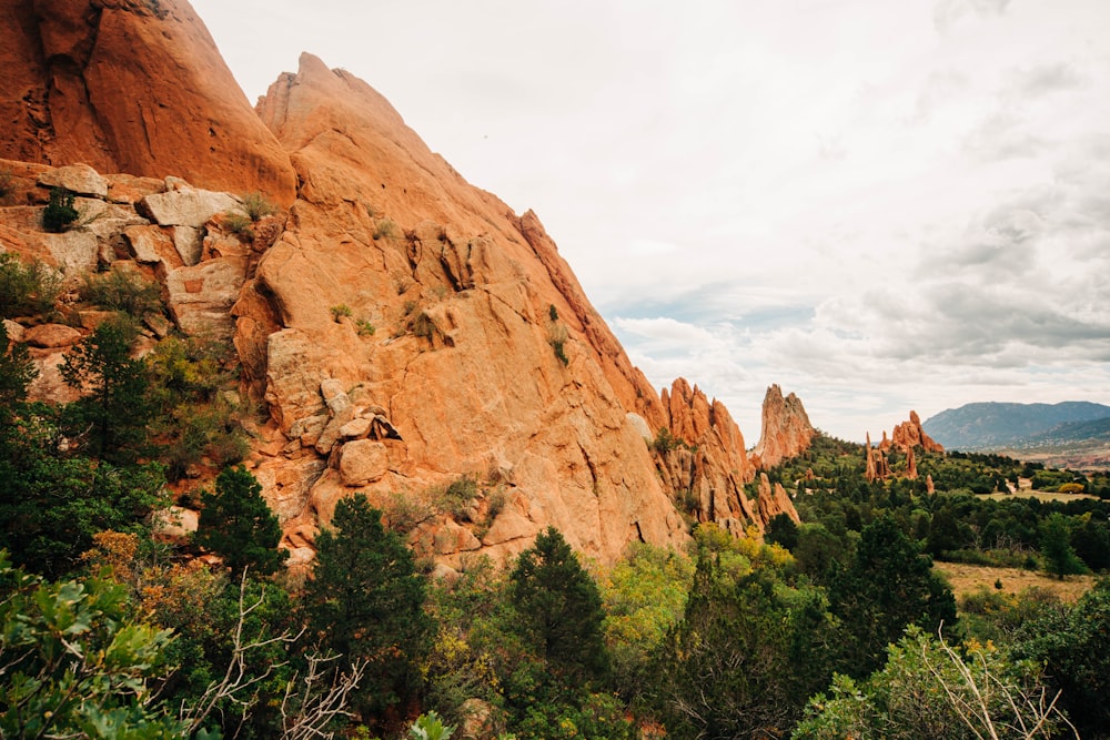 a rocky cliff with trees