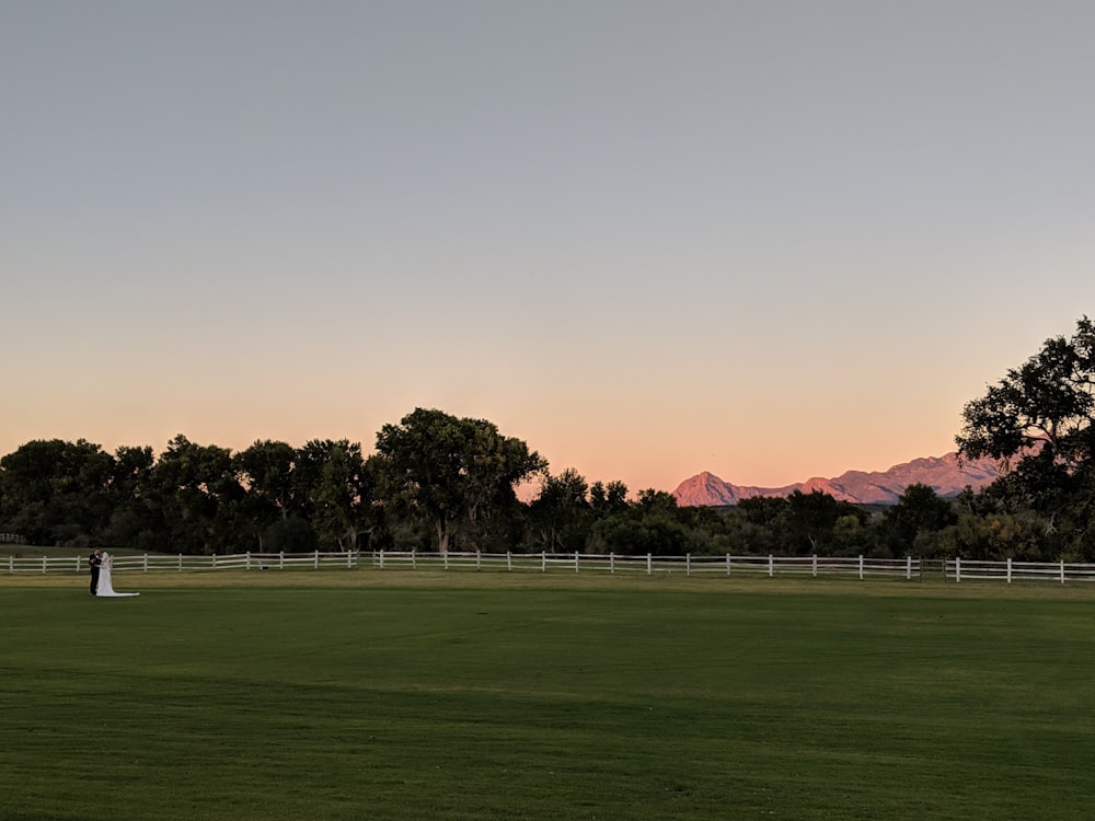 a large green field with trees and a fence and a mountain in the background