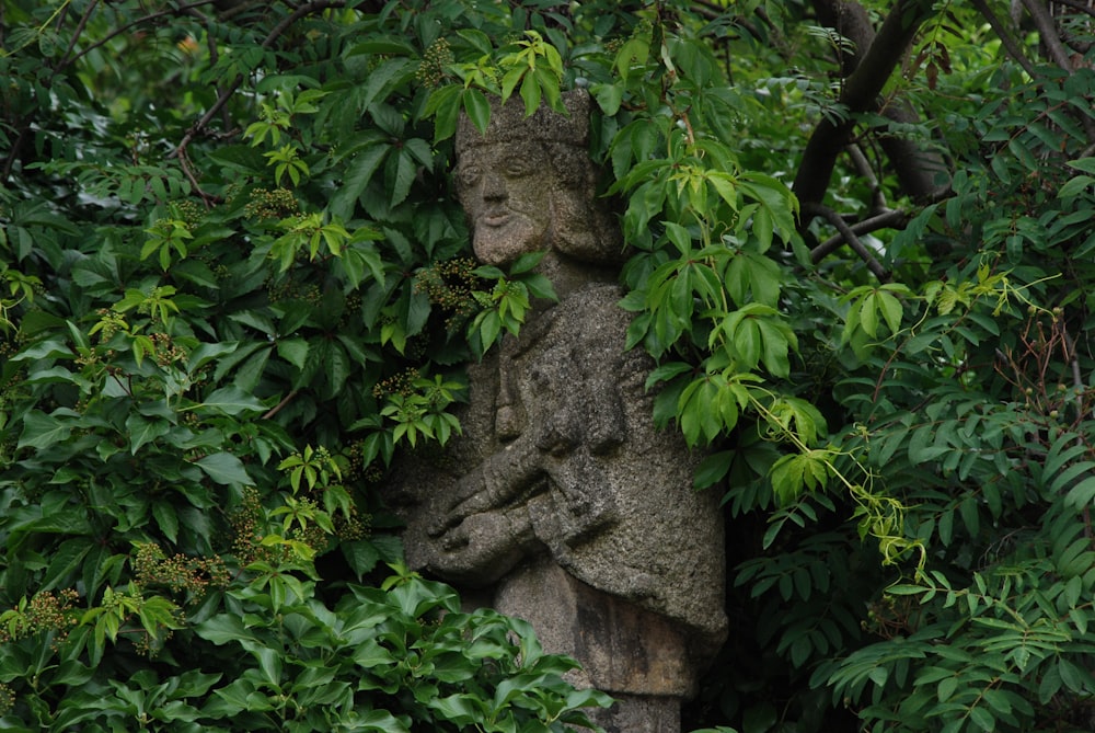 a statue of a person surrounded by plants