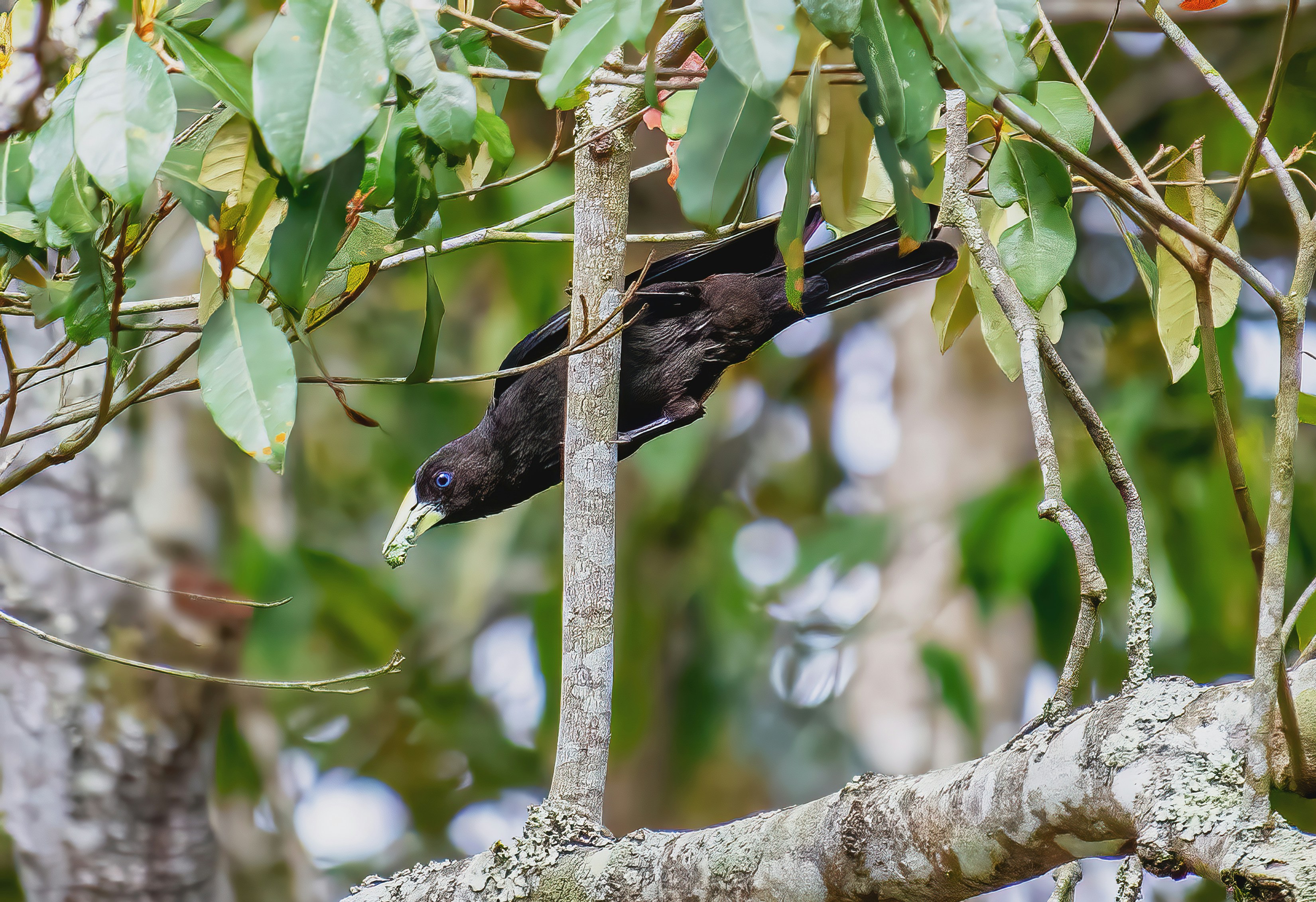 Photo by hicarodecastro