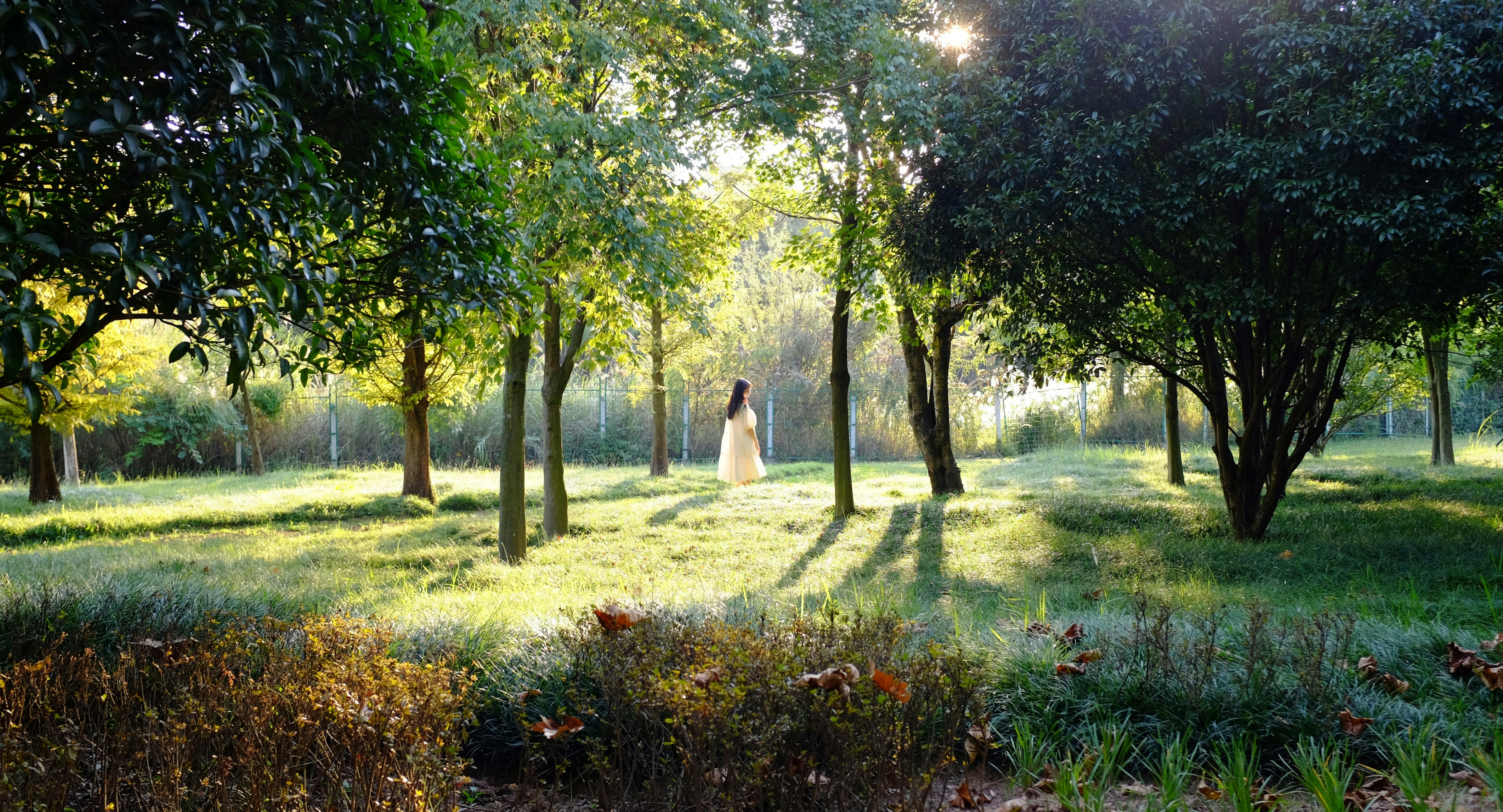 girl walking through forest singing