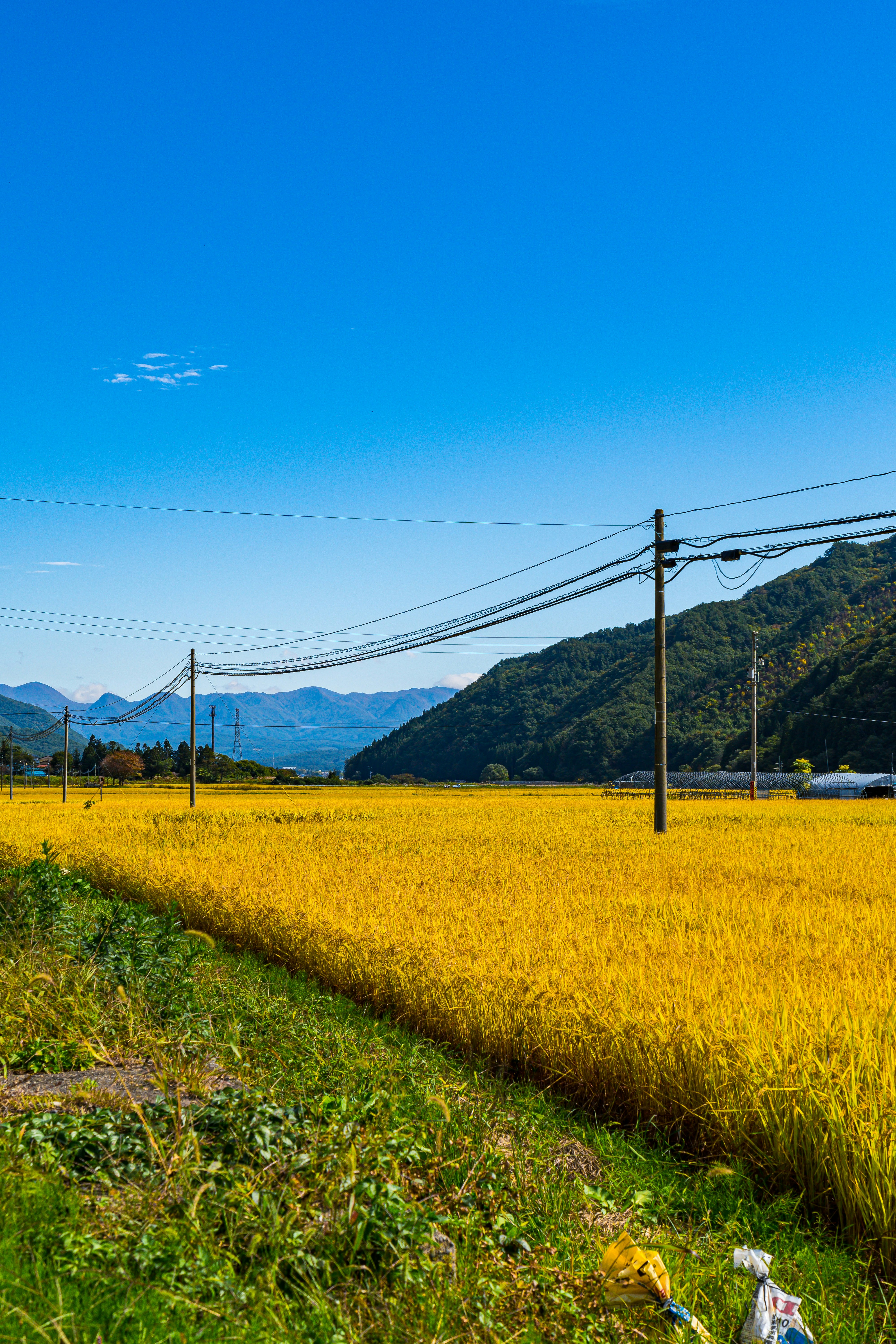 Photo by s_tsuchiya