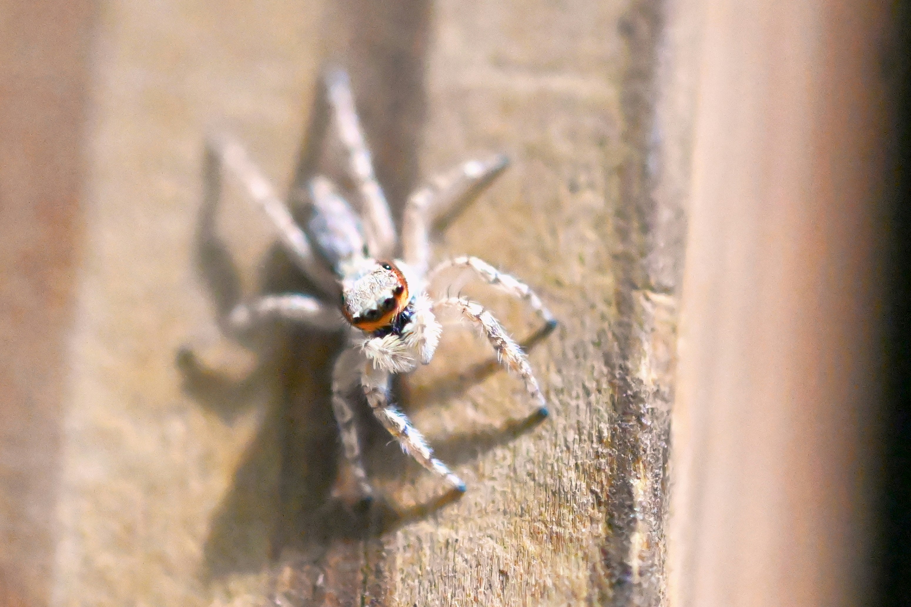 Photo by climatechangevi