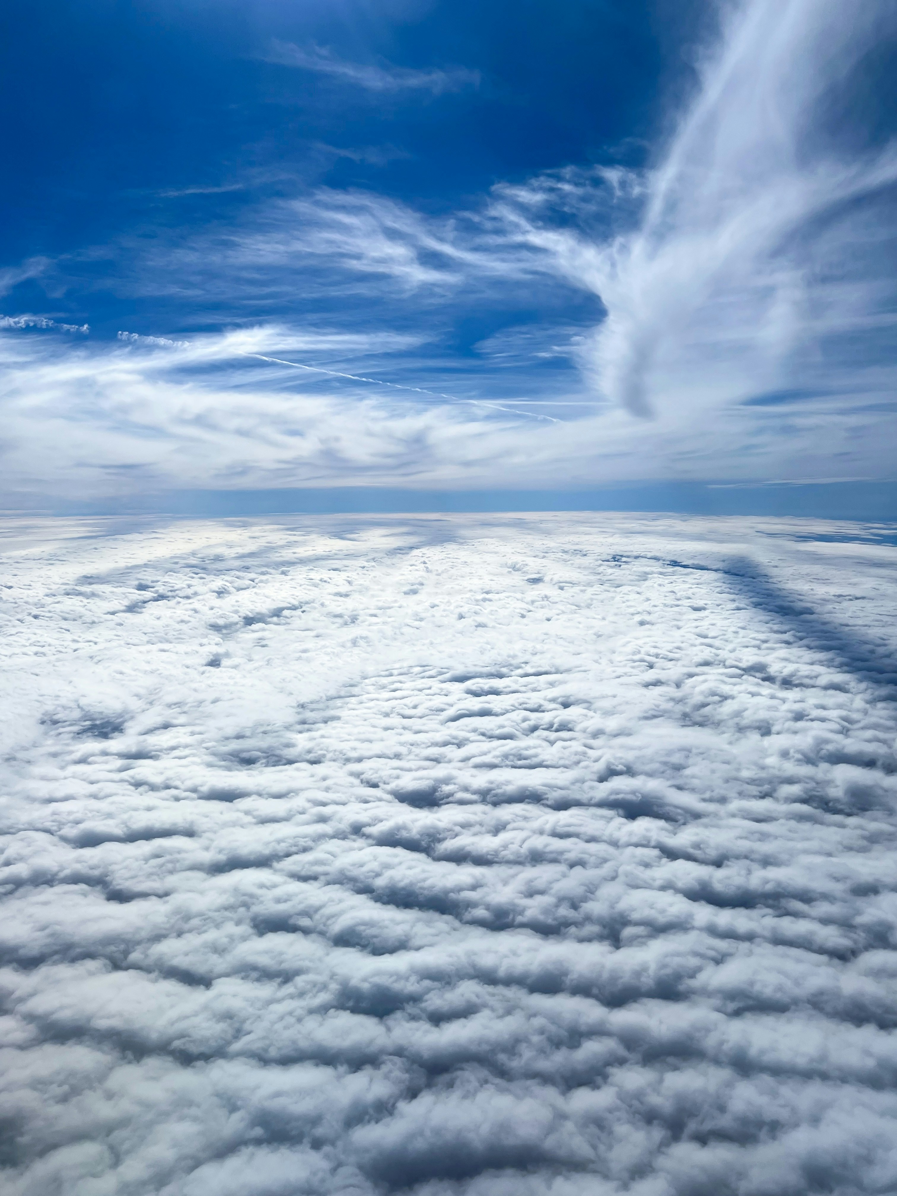 #Cloud Migration Strategies for Enterprise Applications