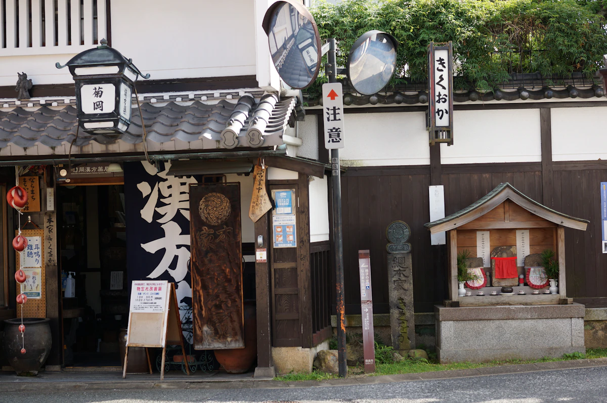 Deer and ancient temples in Nara, Japan