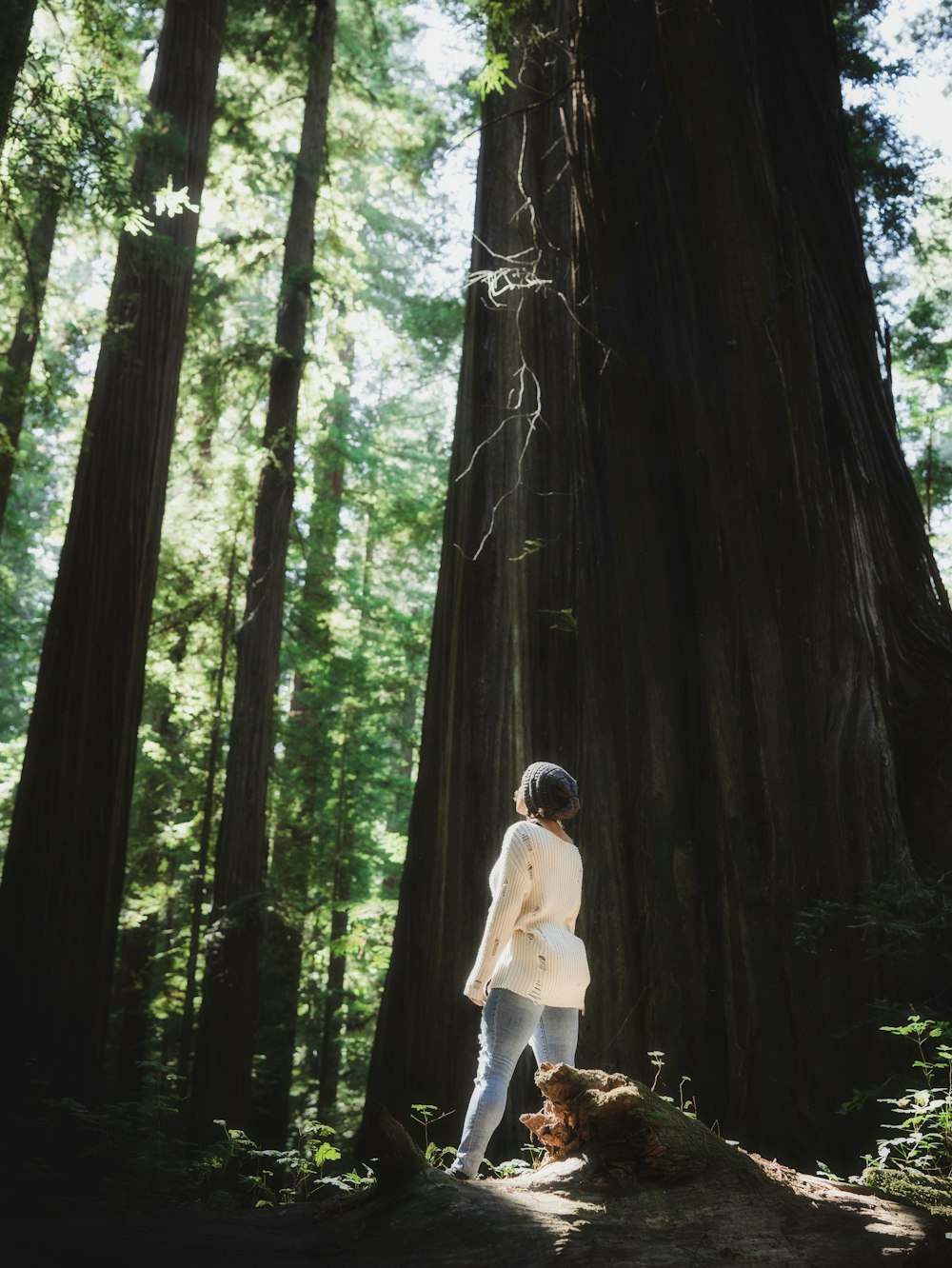 a person standing next to a large tree