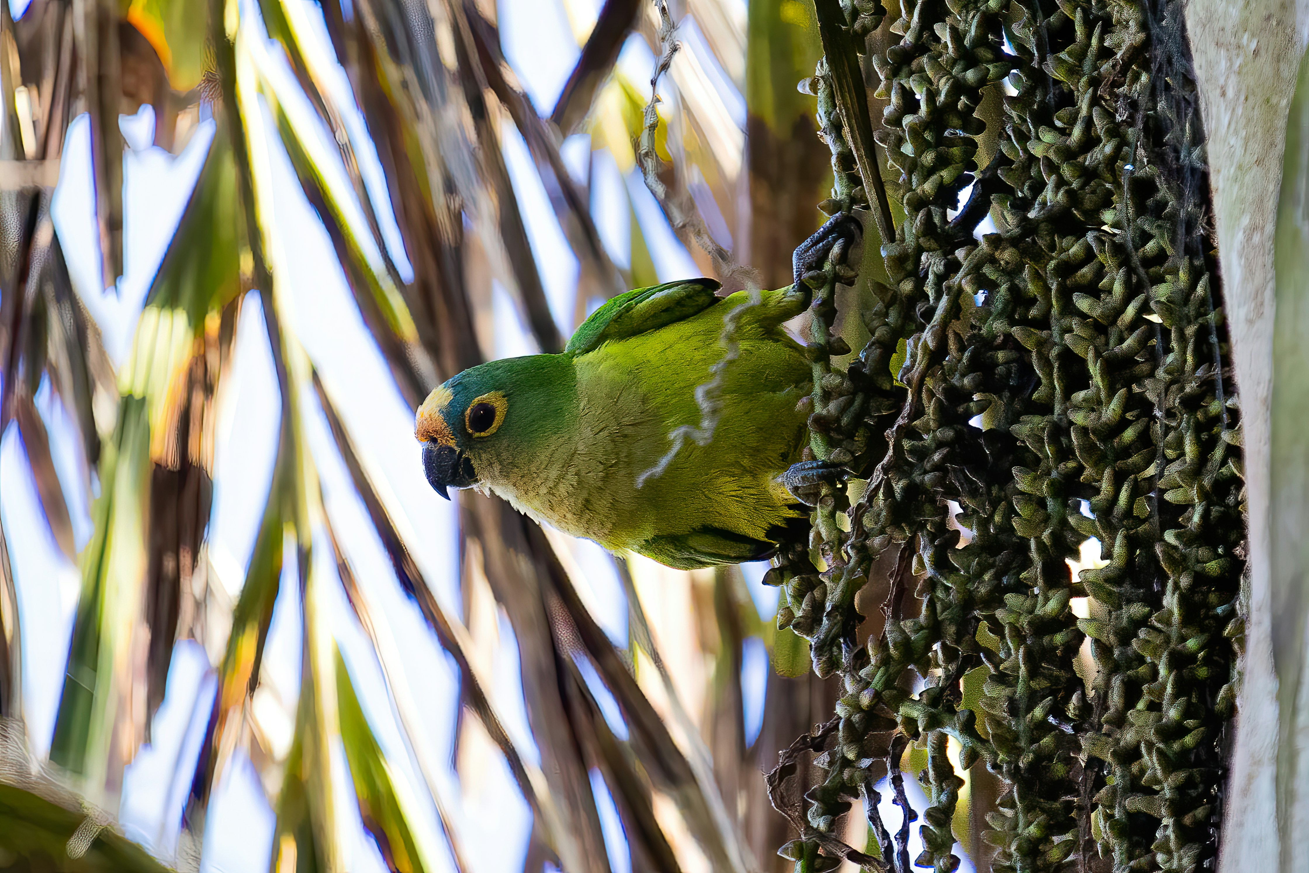 Photo by hicarodecastro