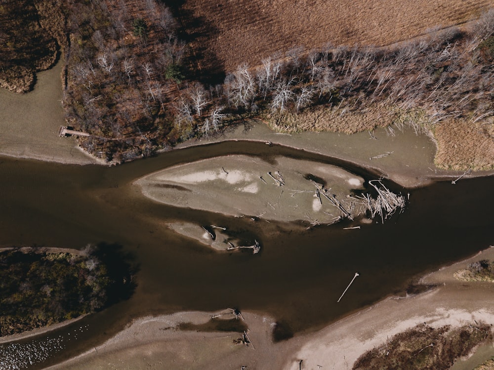 a river with a few birds