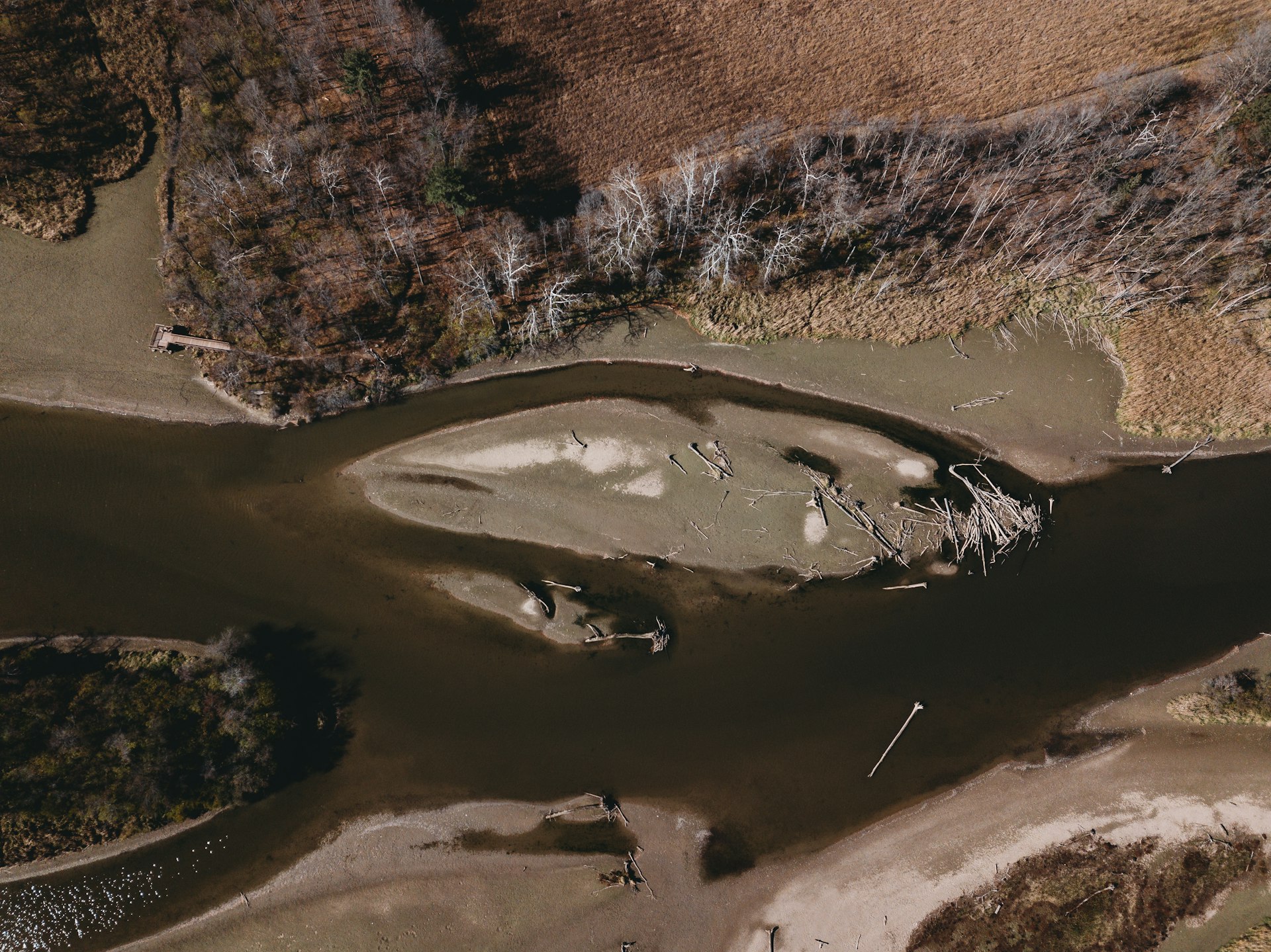 a river with a few birds