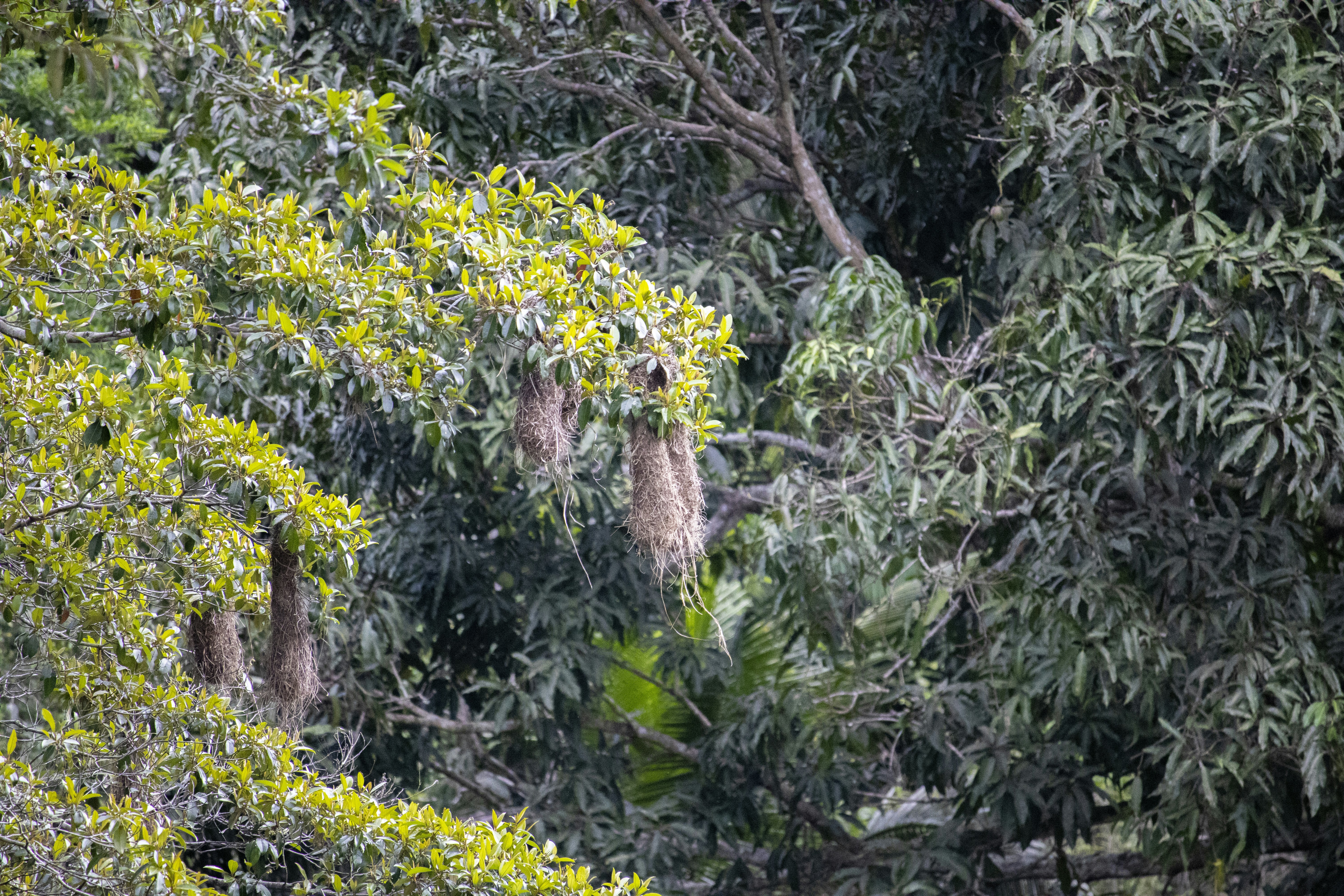 Photo by hicarodecastro