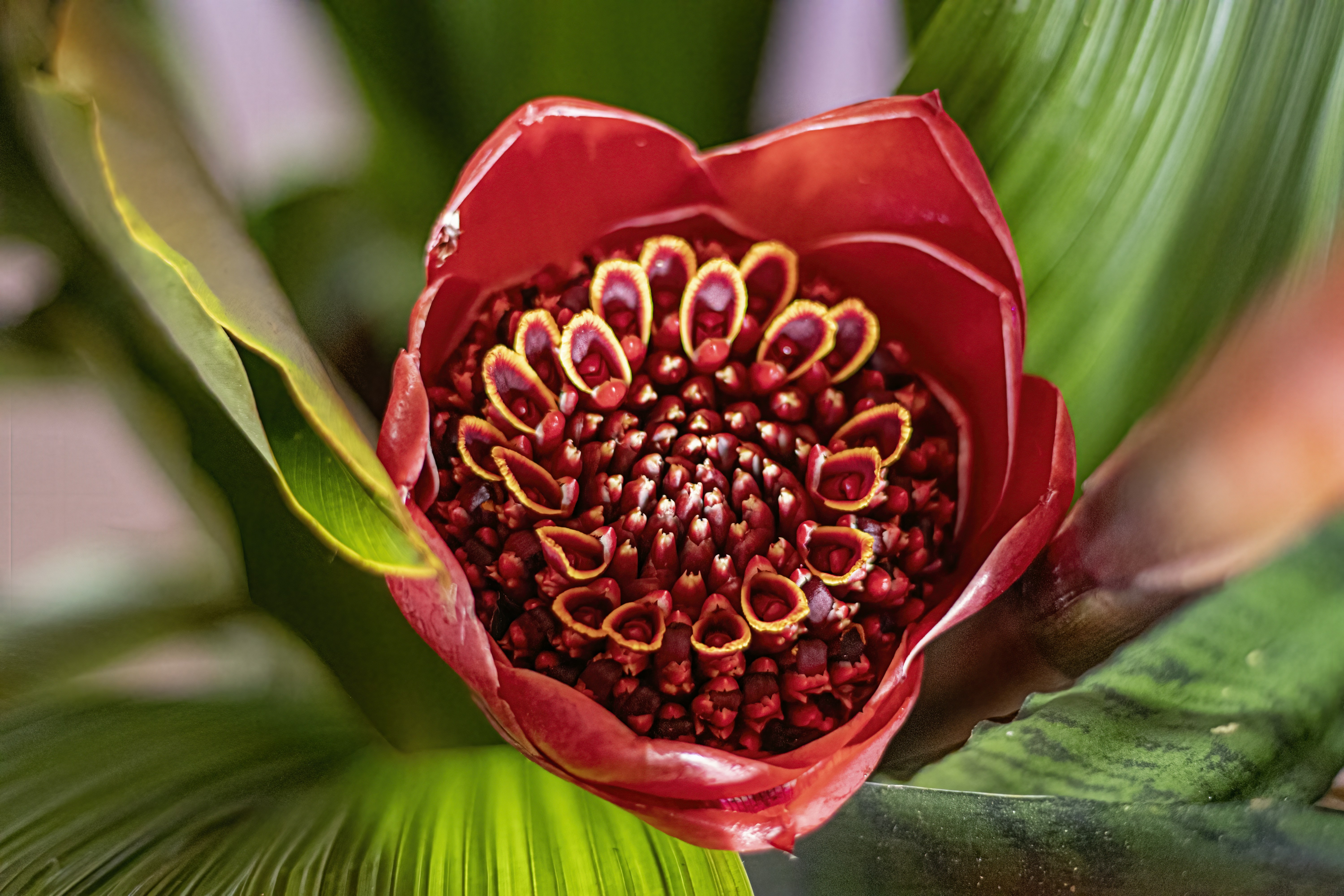 Photo by hicarodecastro