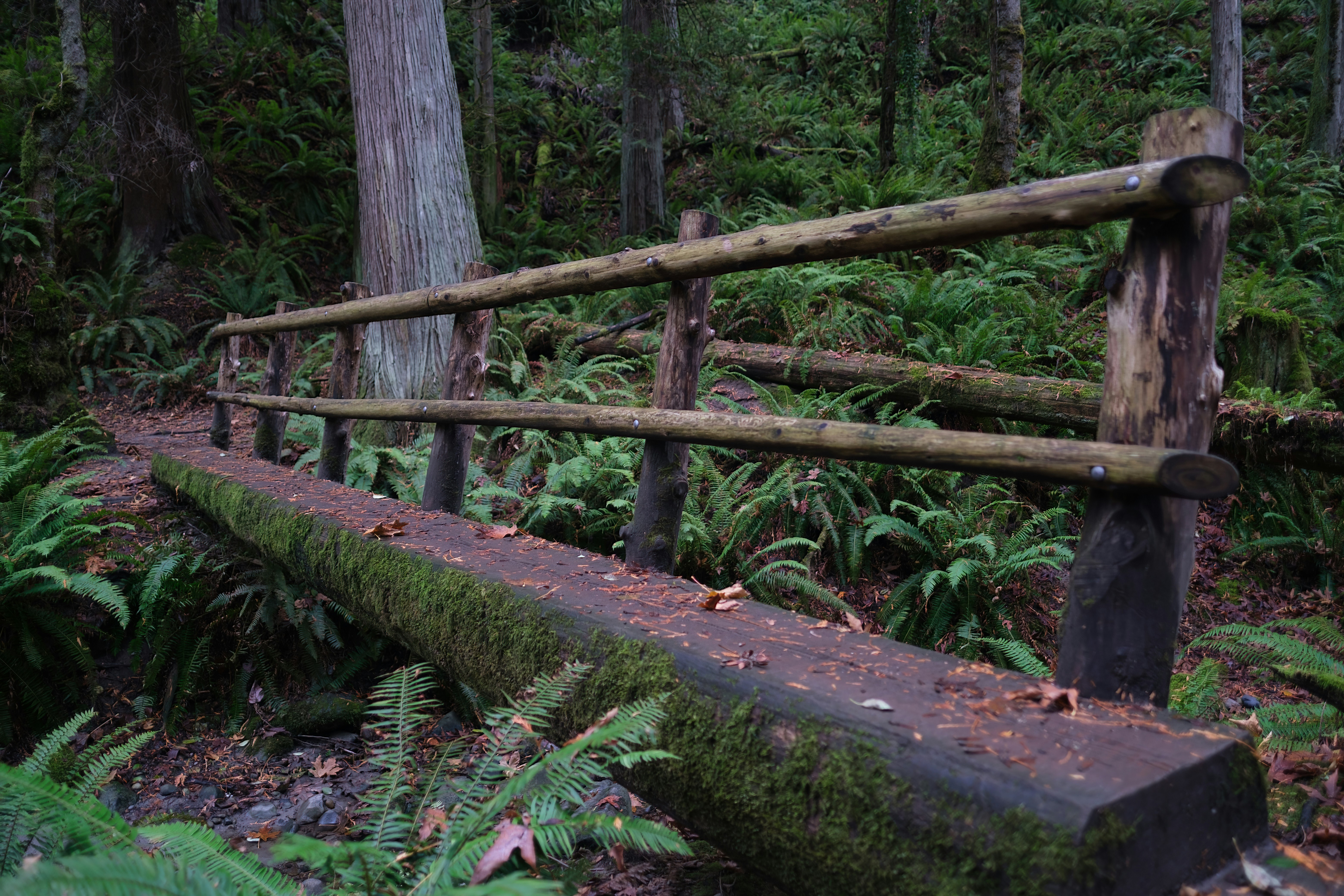 a wooden bridge in the woods