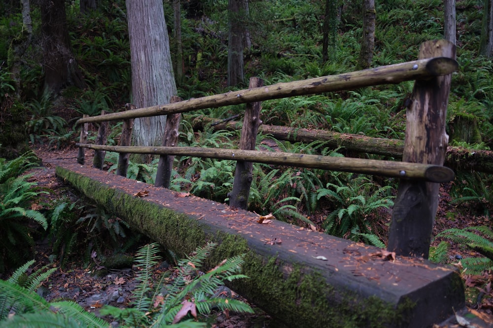 a wooden bridge in the woods