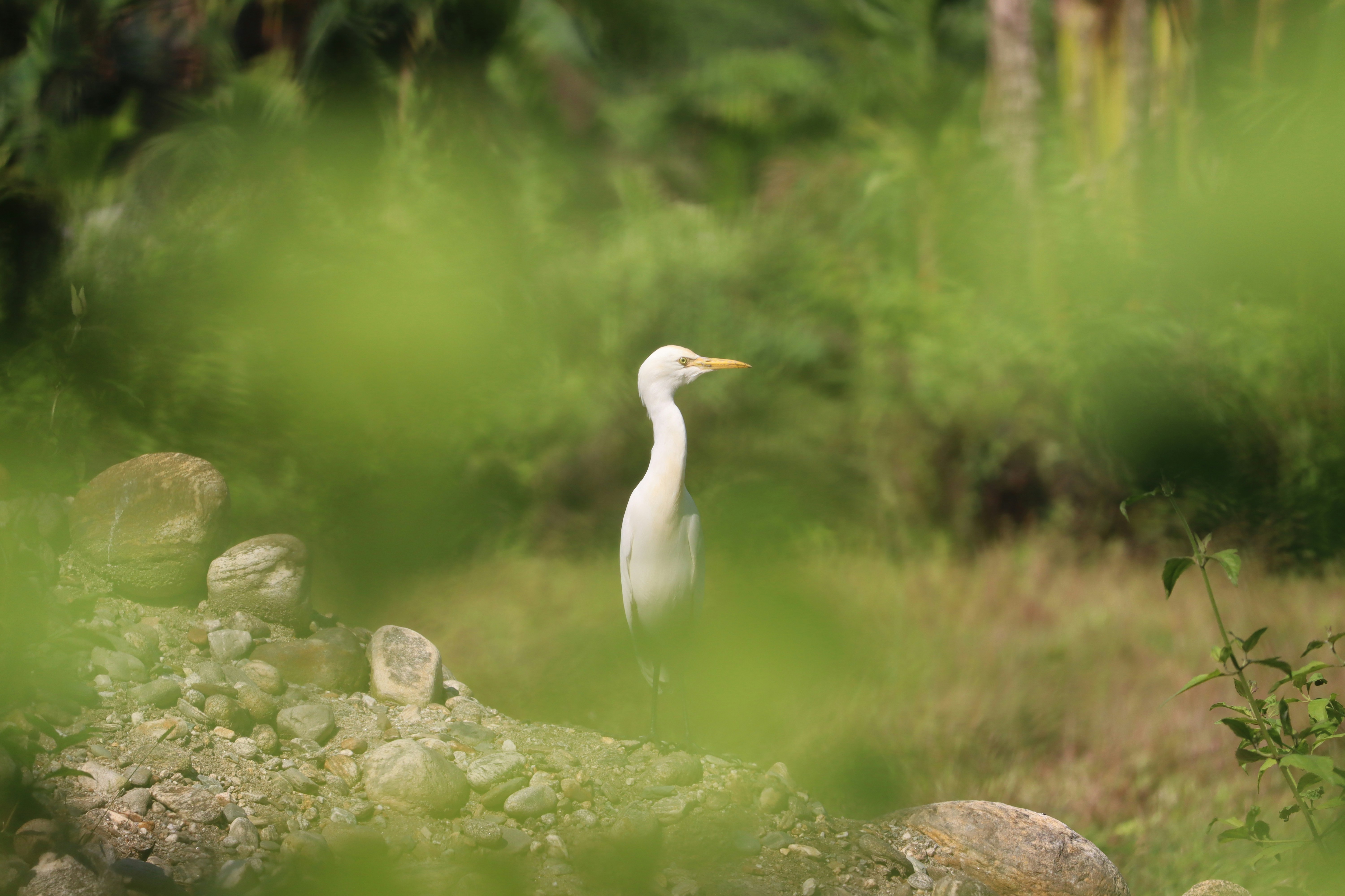 Photo by soonamwooeser