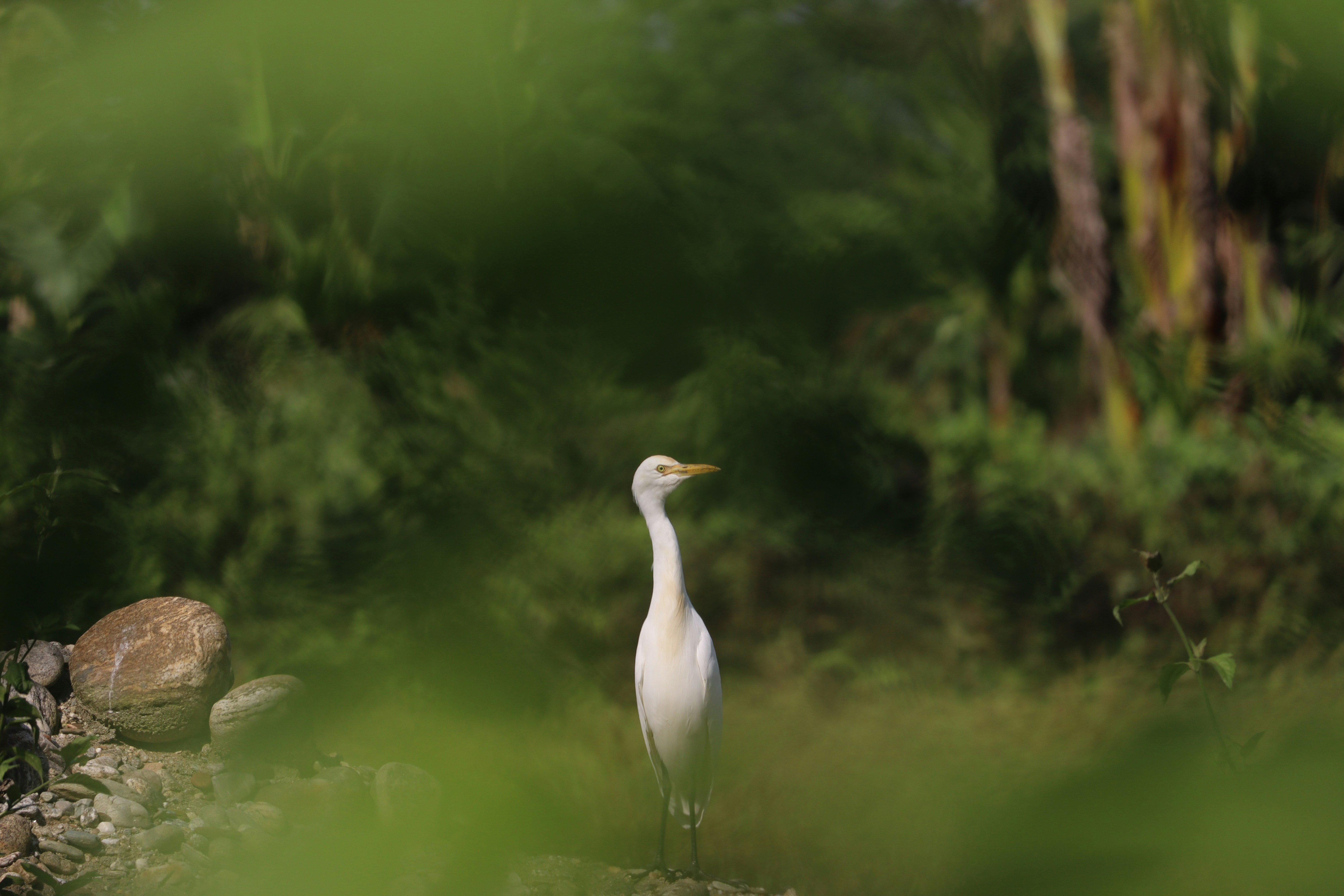 Photo by soonamwooeser