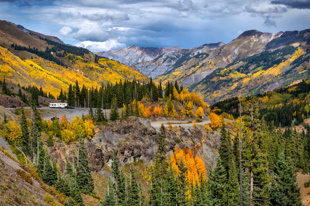 a landscape with trees and mountains