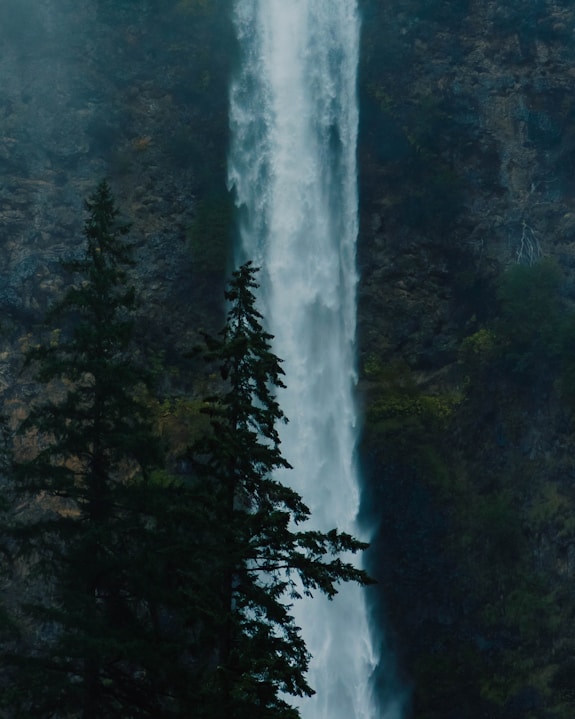 a waterfall in a forest