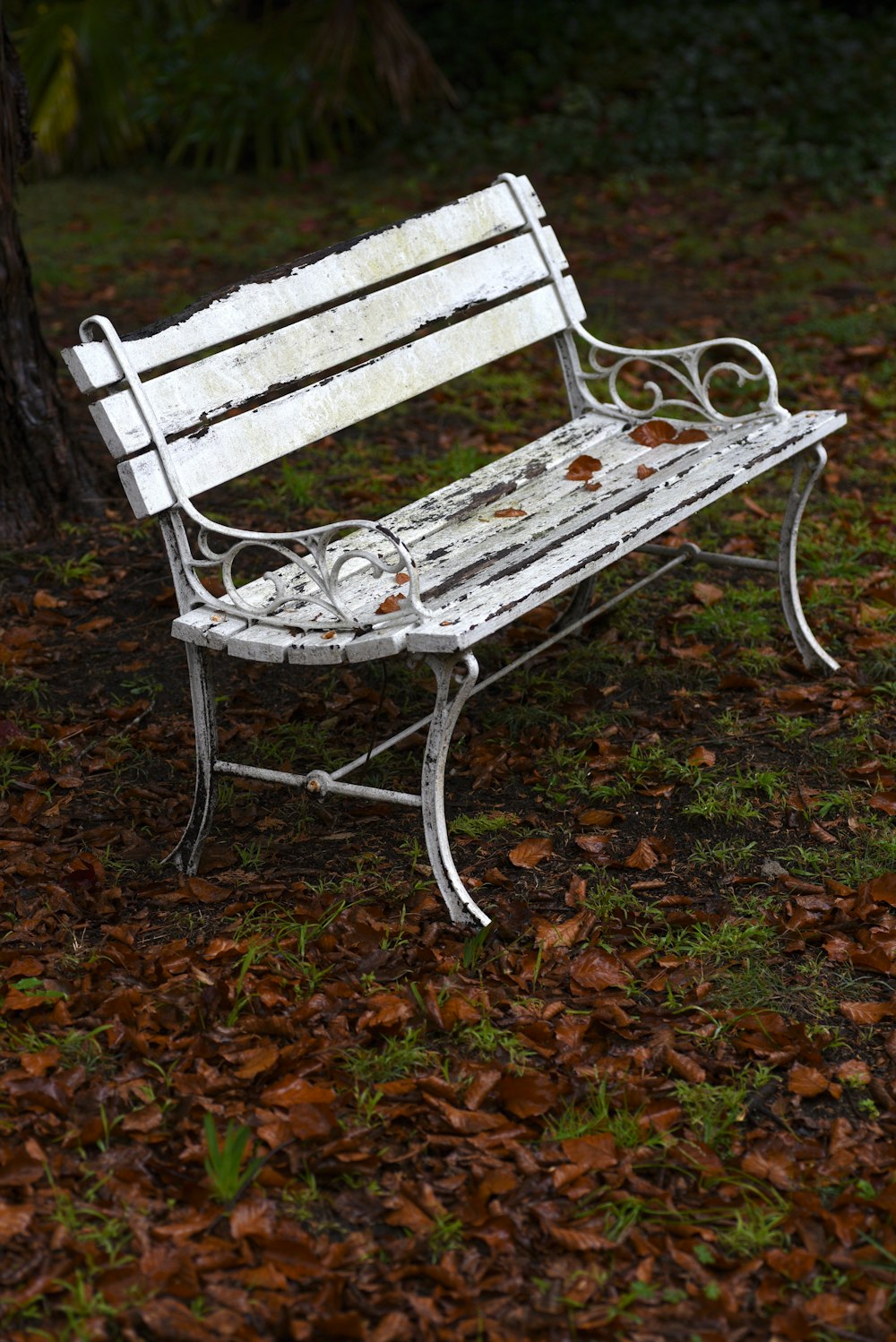 a white bench in a park