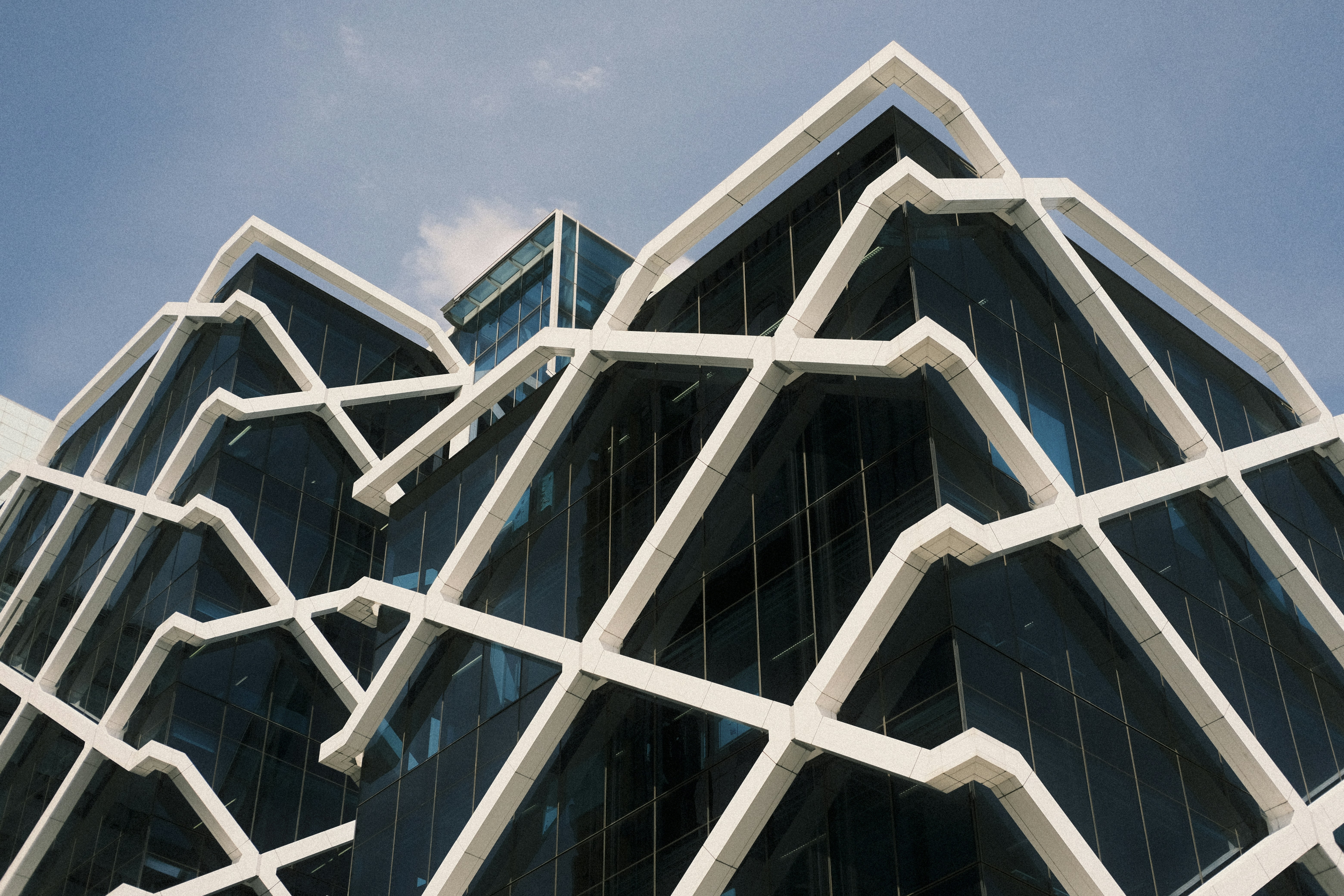 Photo by respected_ambassador