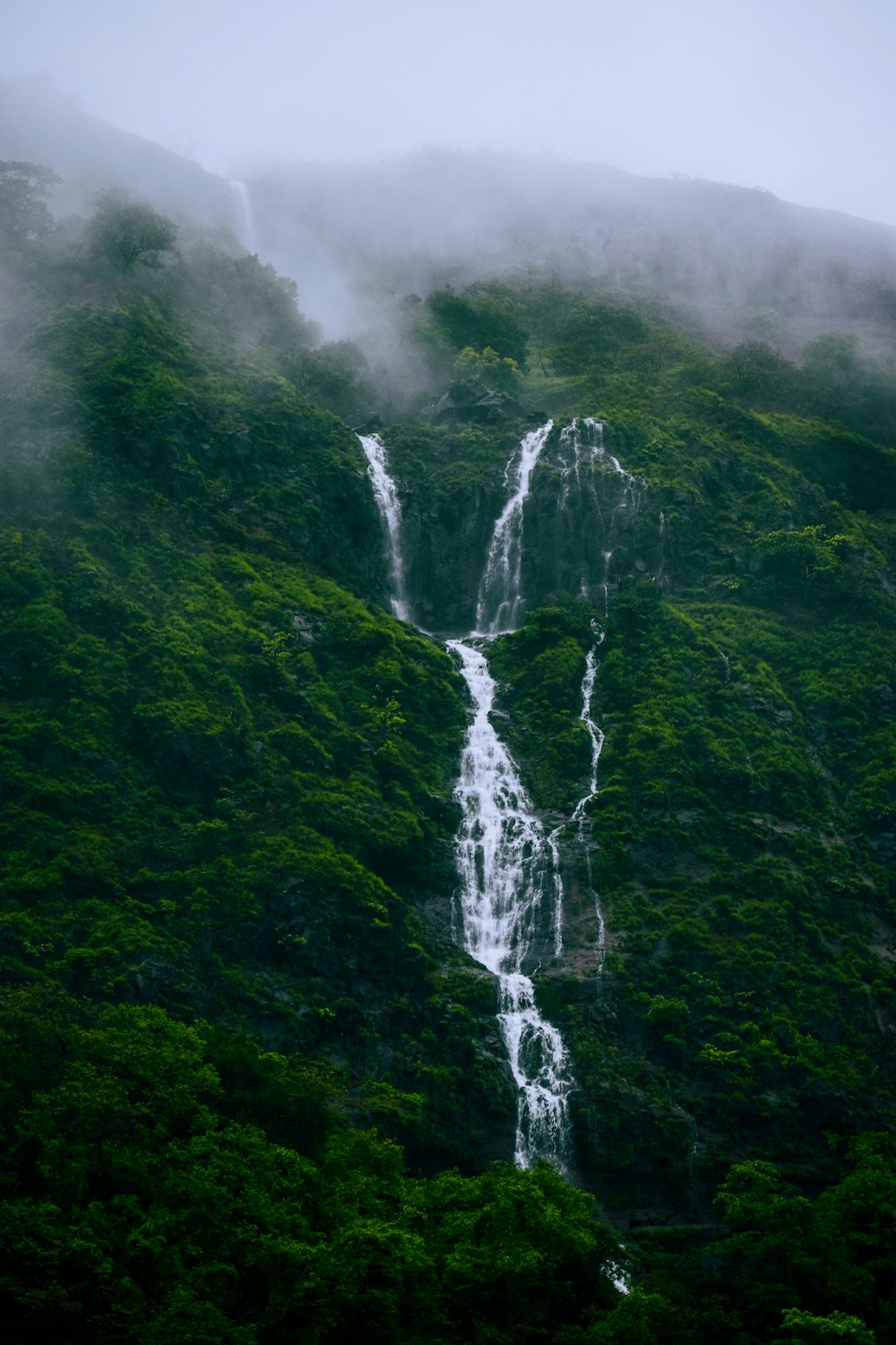 a group of waterfalls in a forest