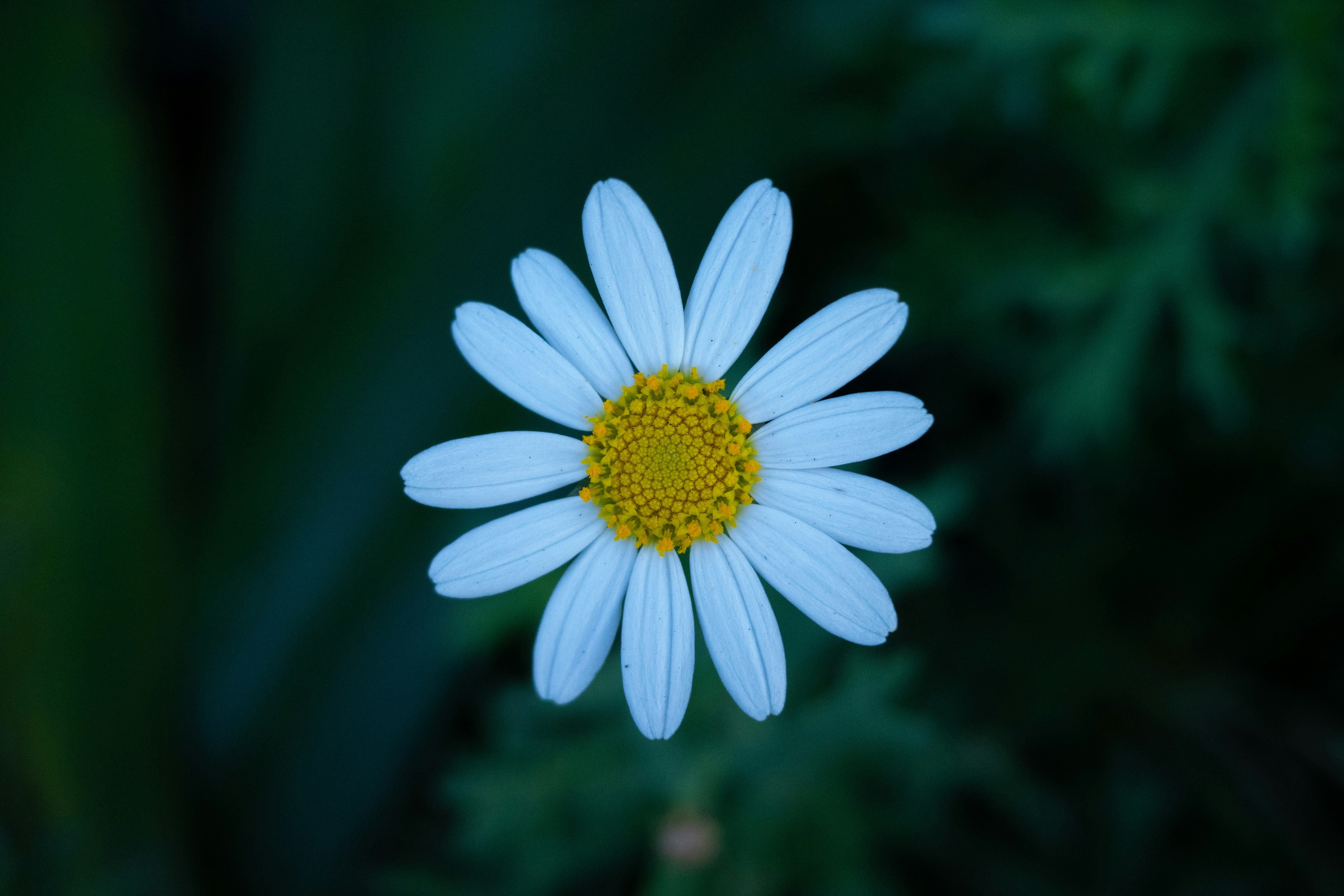 Photo by april_vasquez