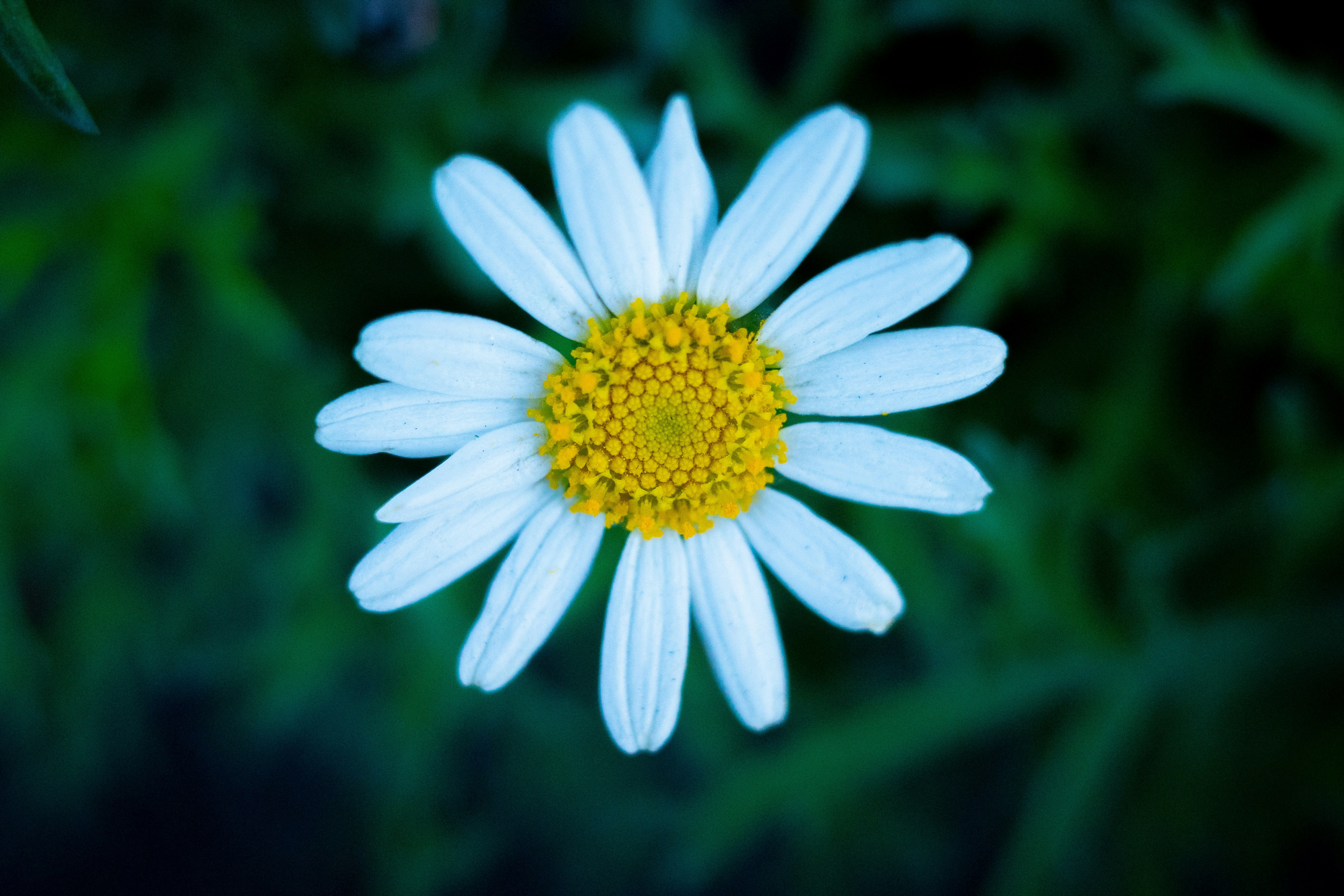 Photo by april_vasquez