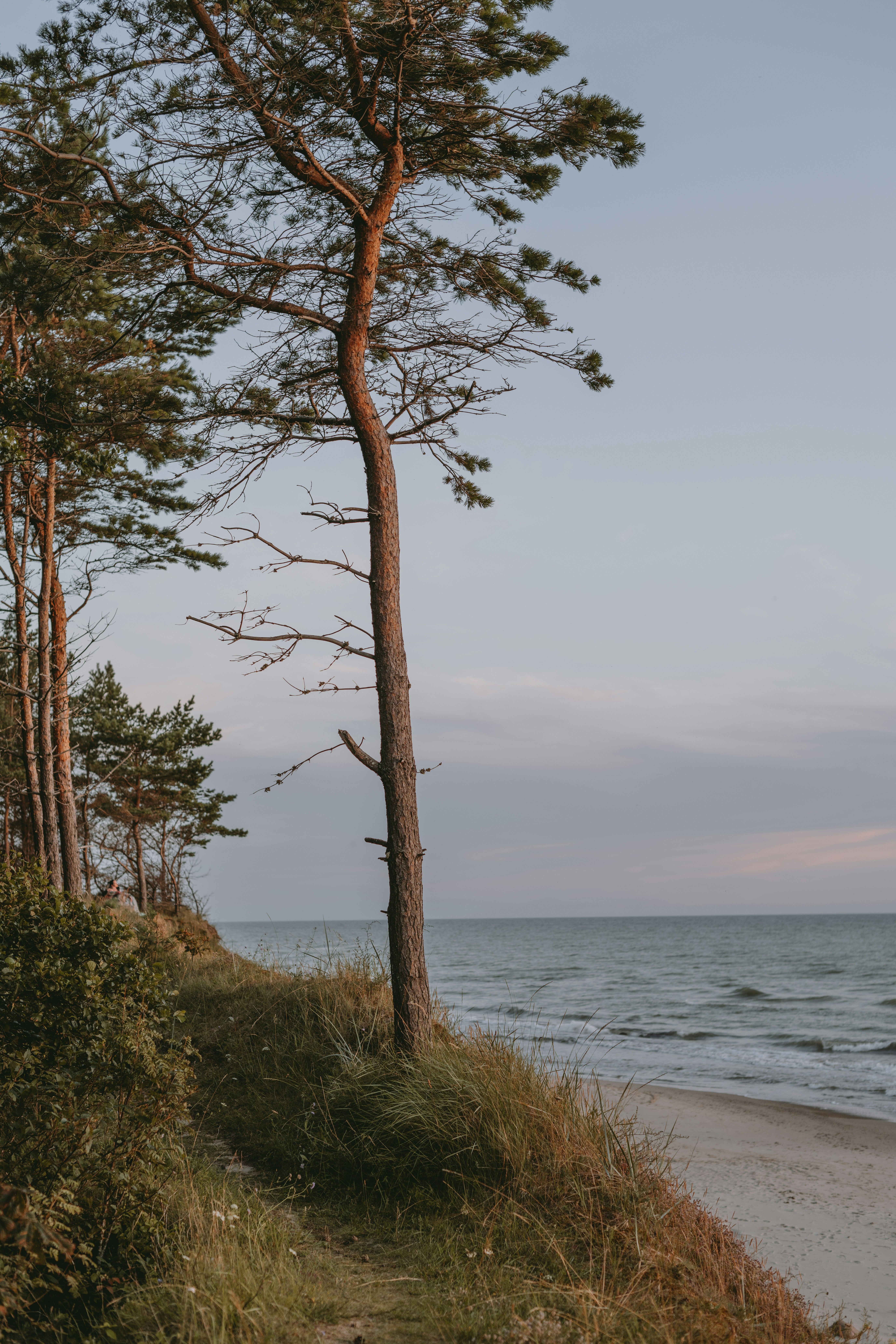 Photo by anitaaustvika