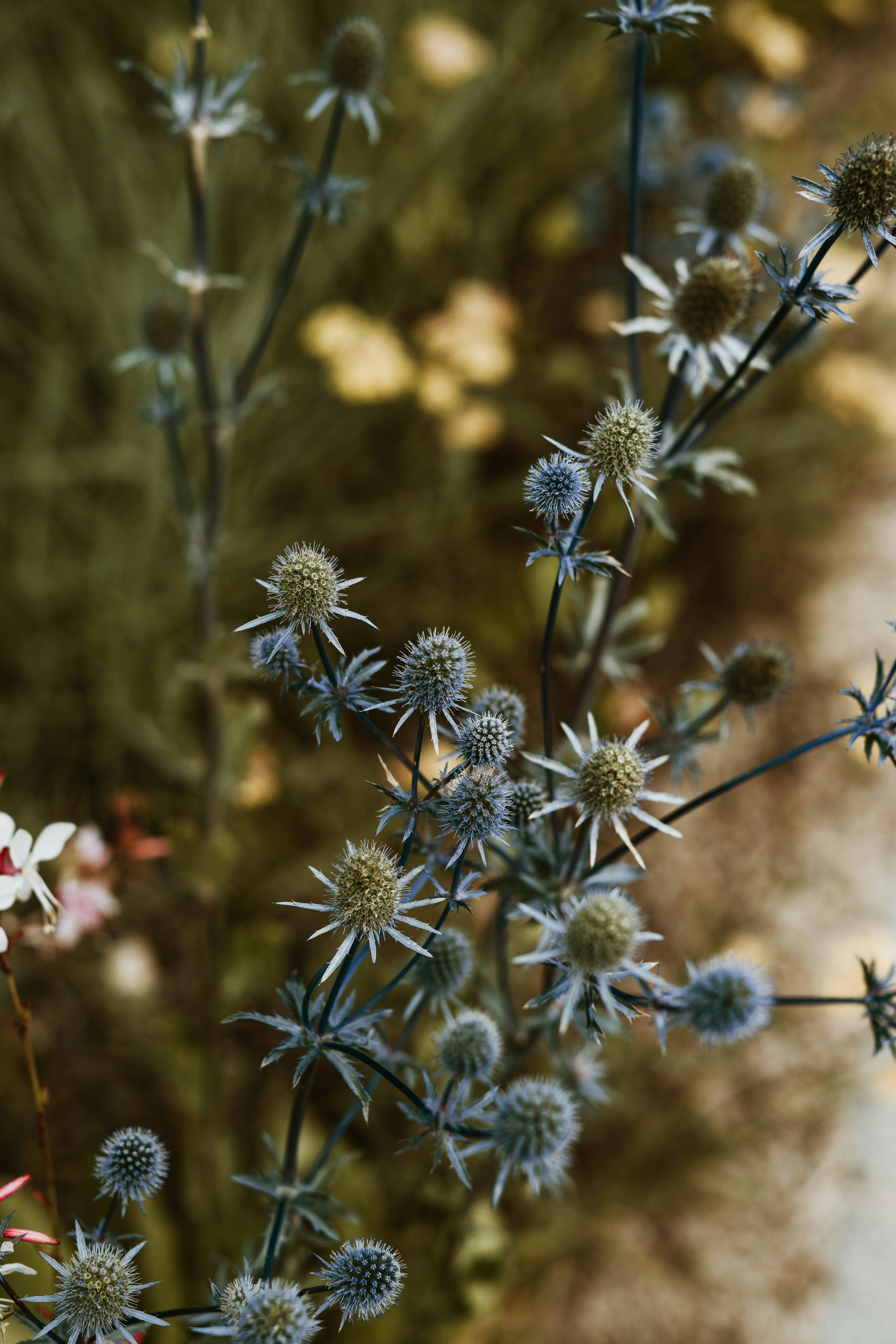 Photo by anitaaustvika
