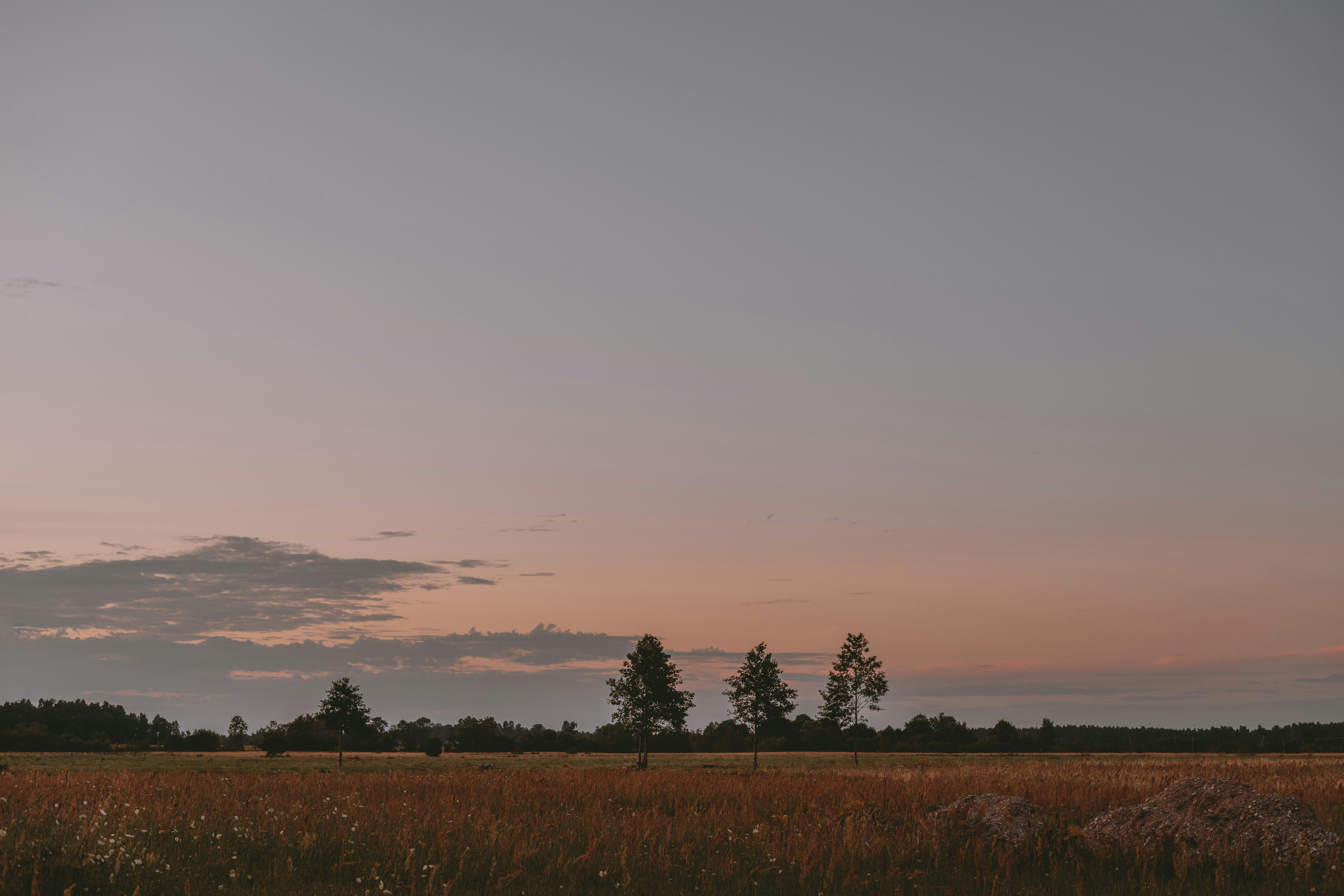 Photo by anitaaustvika