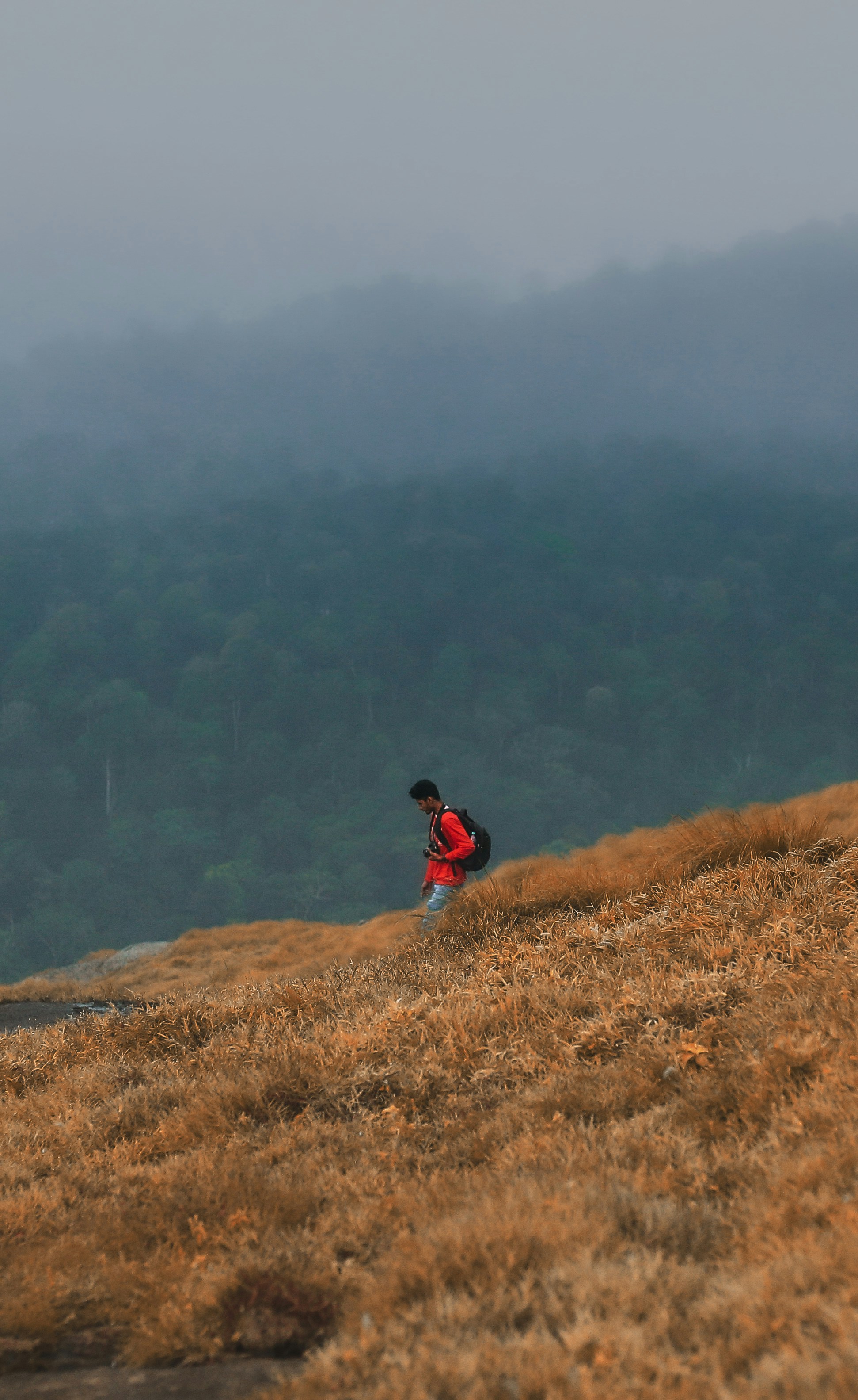 Photo by arununnikrishnan