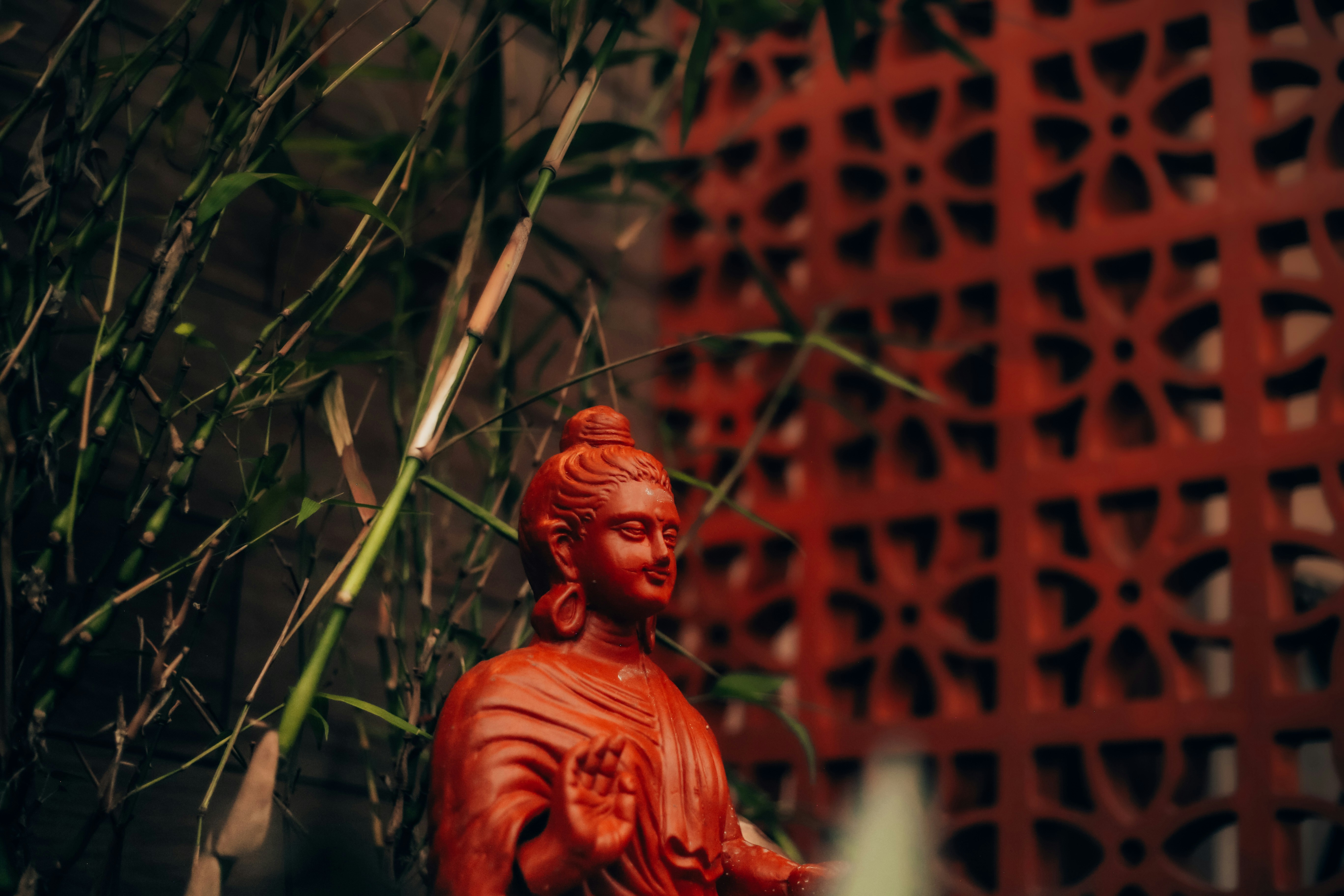 Photo by arununnikrishnan