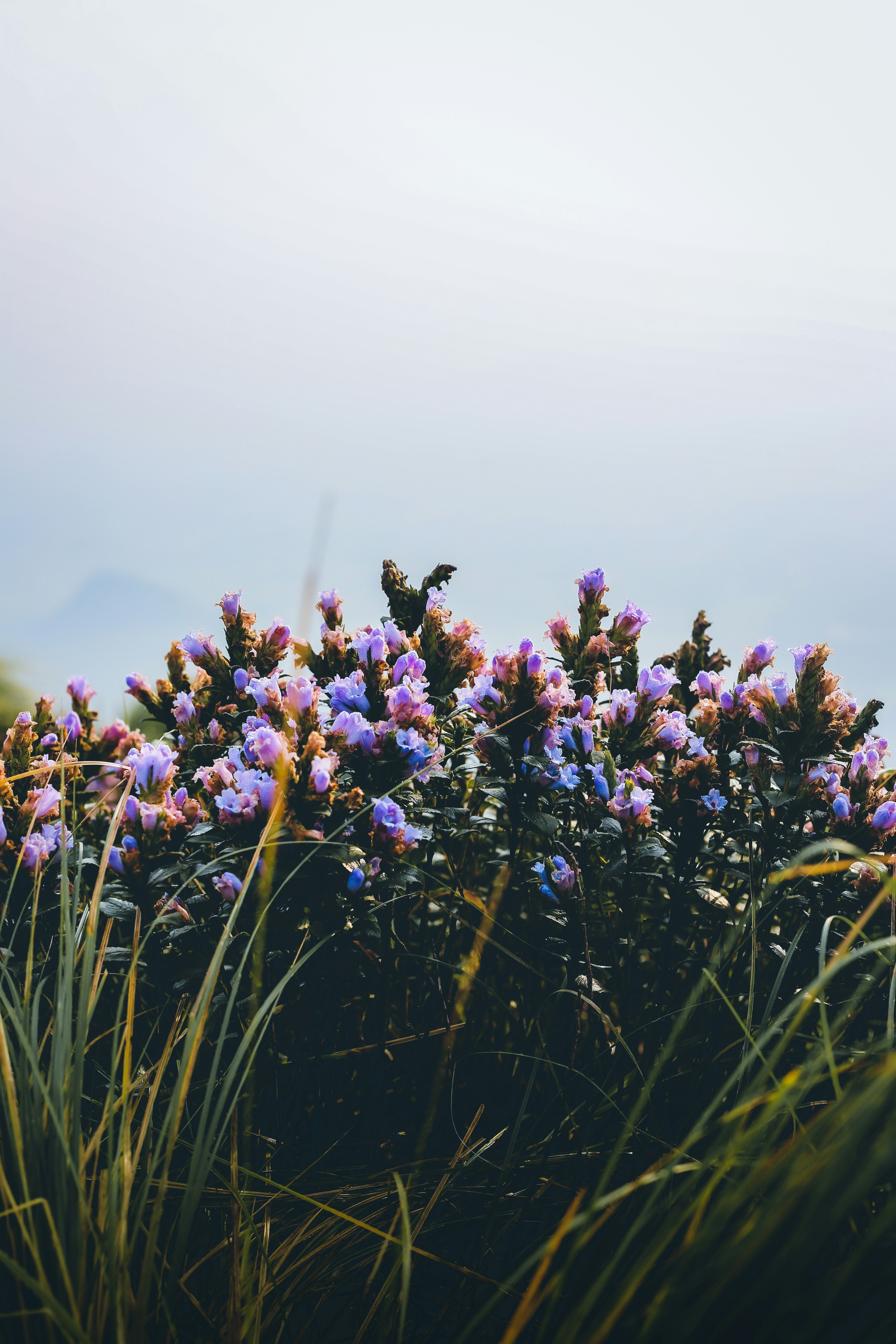 Photo by arununnikrishnan