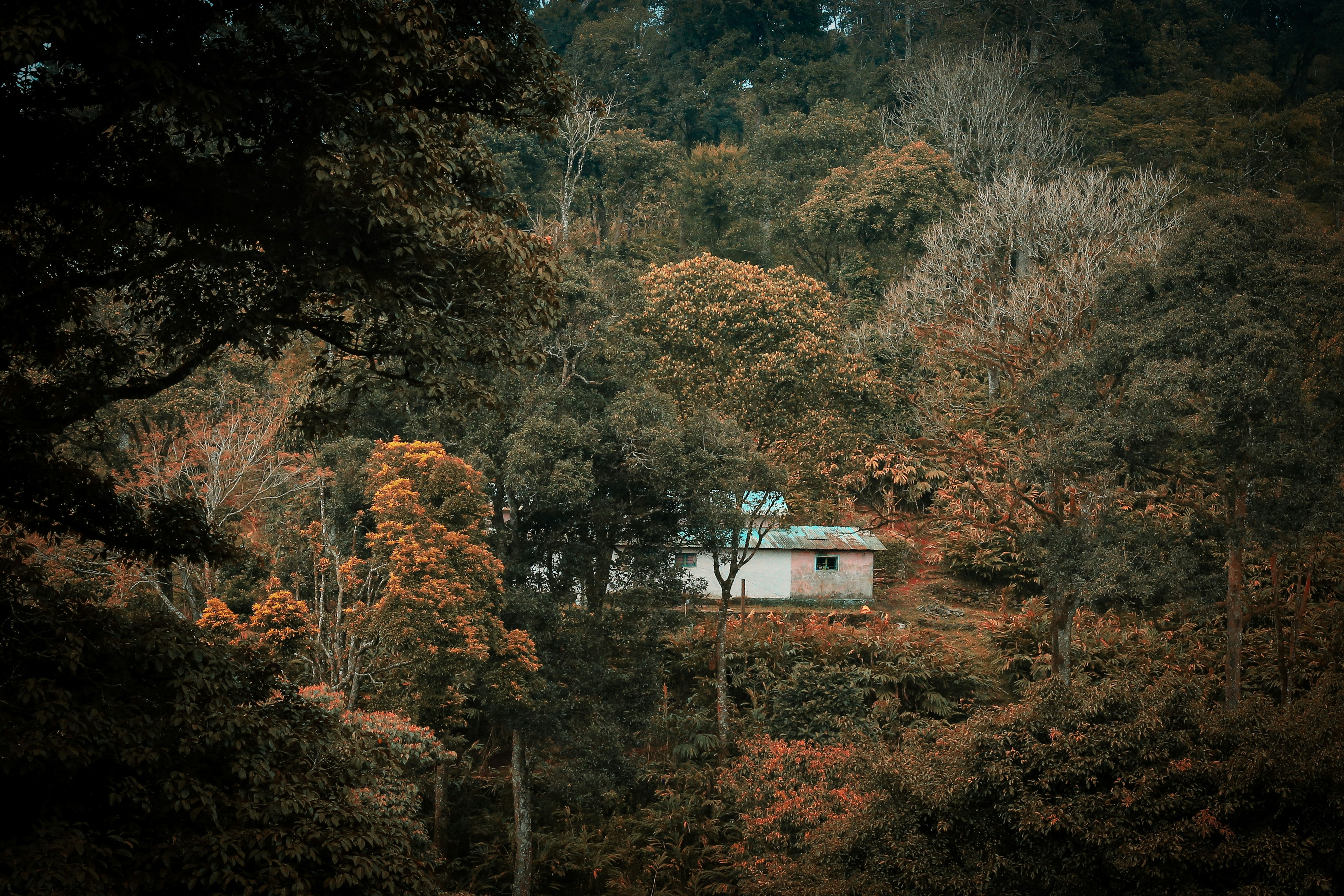 Photo by arununnikrishnan