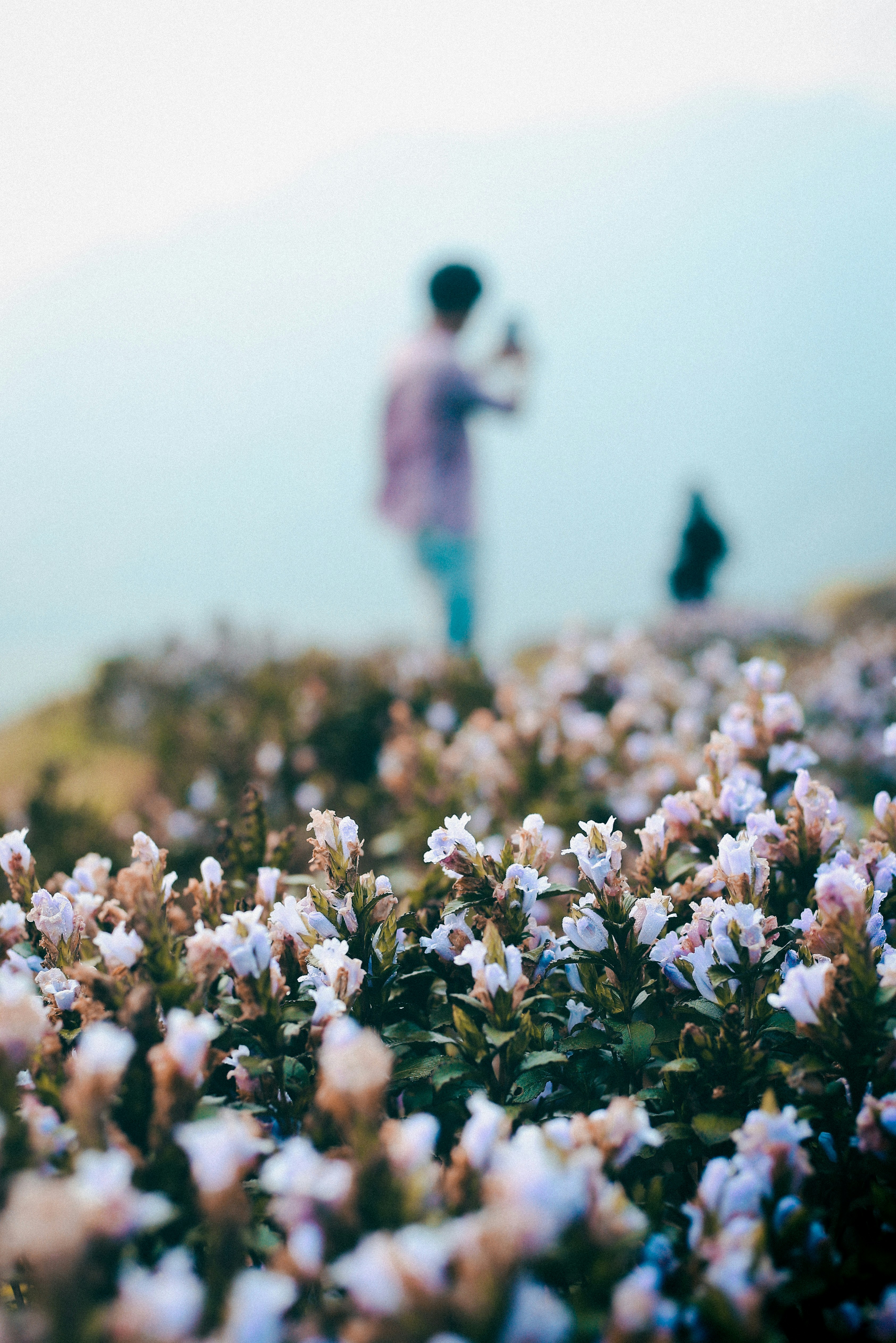 Photo by arununnikrishnan