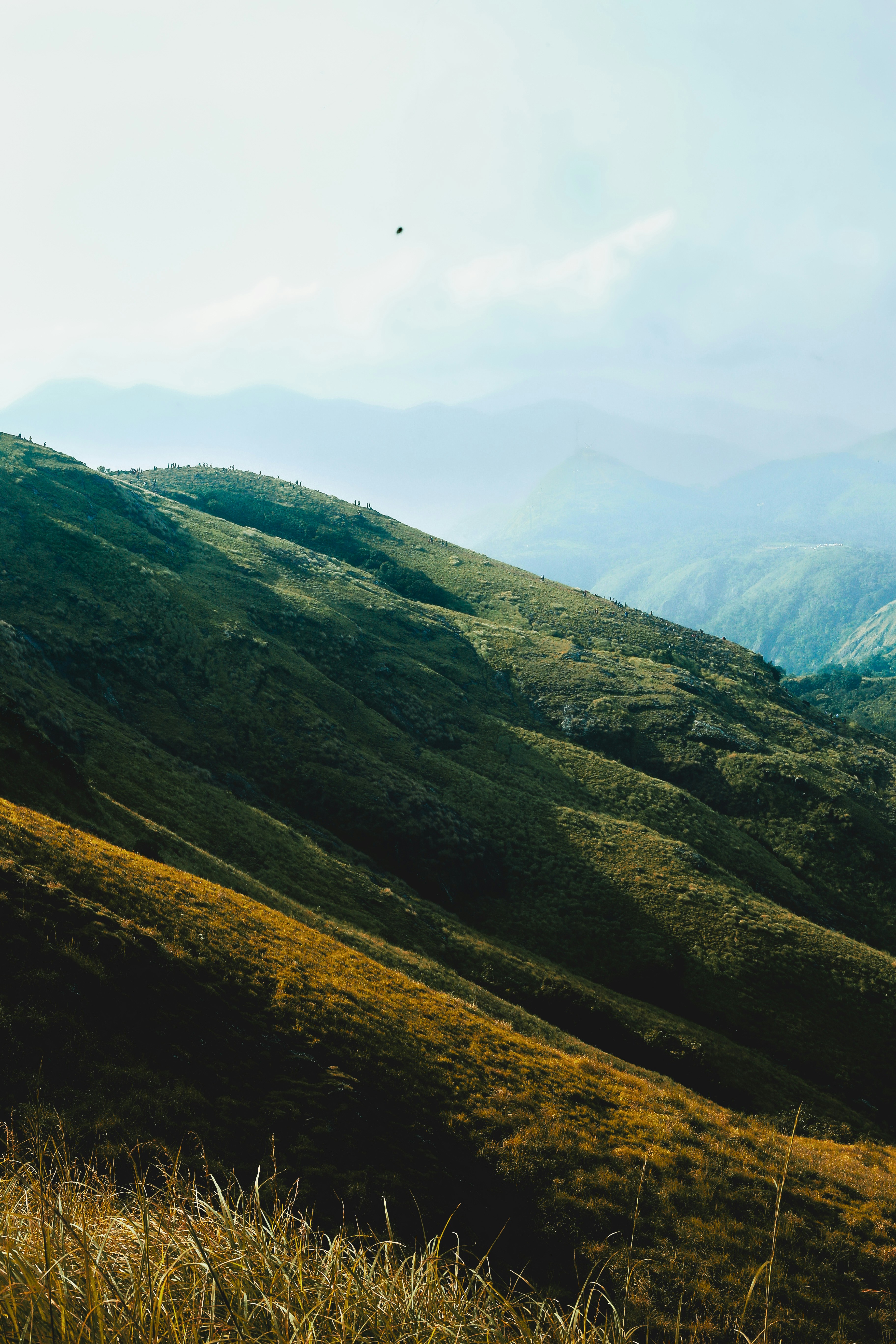 Photo by arununnikrishnan