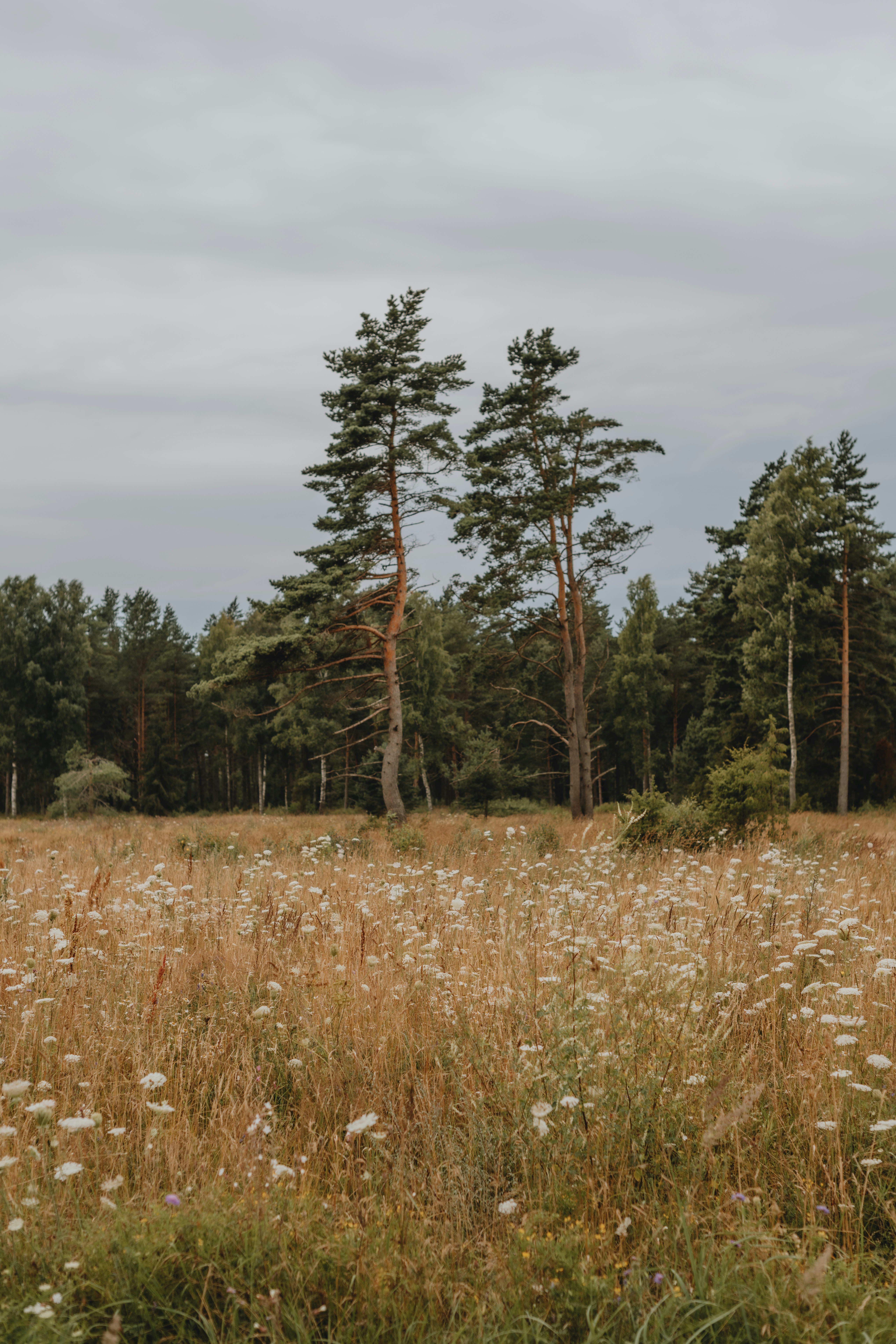 Photo by anitaaustvika