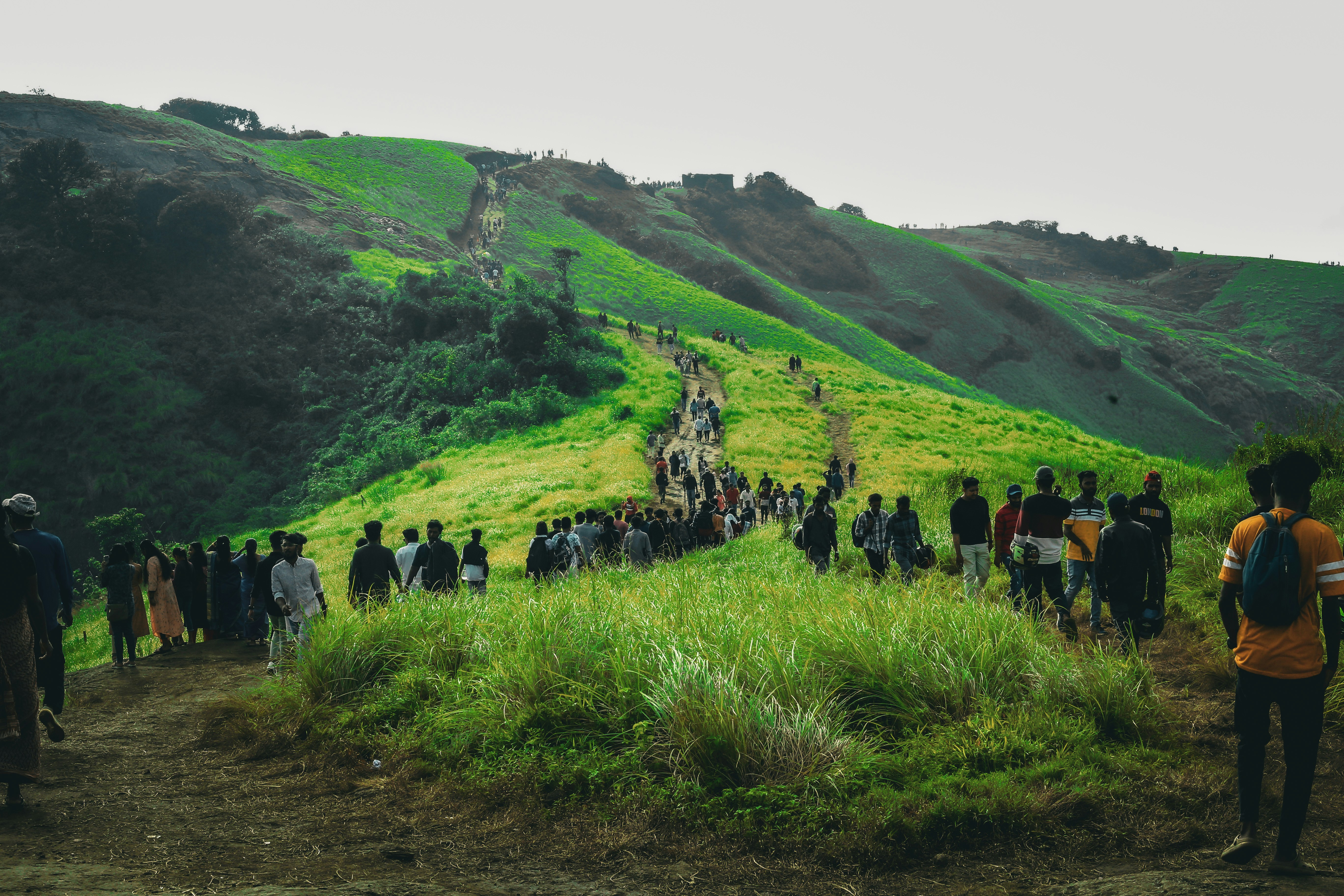Photo by arununnikrishnan