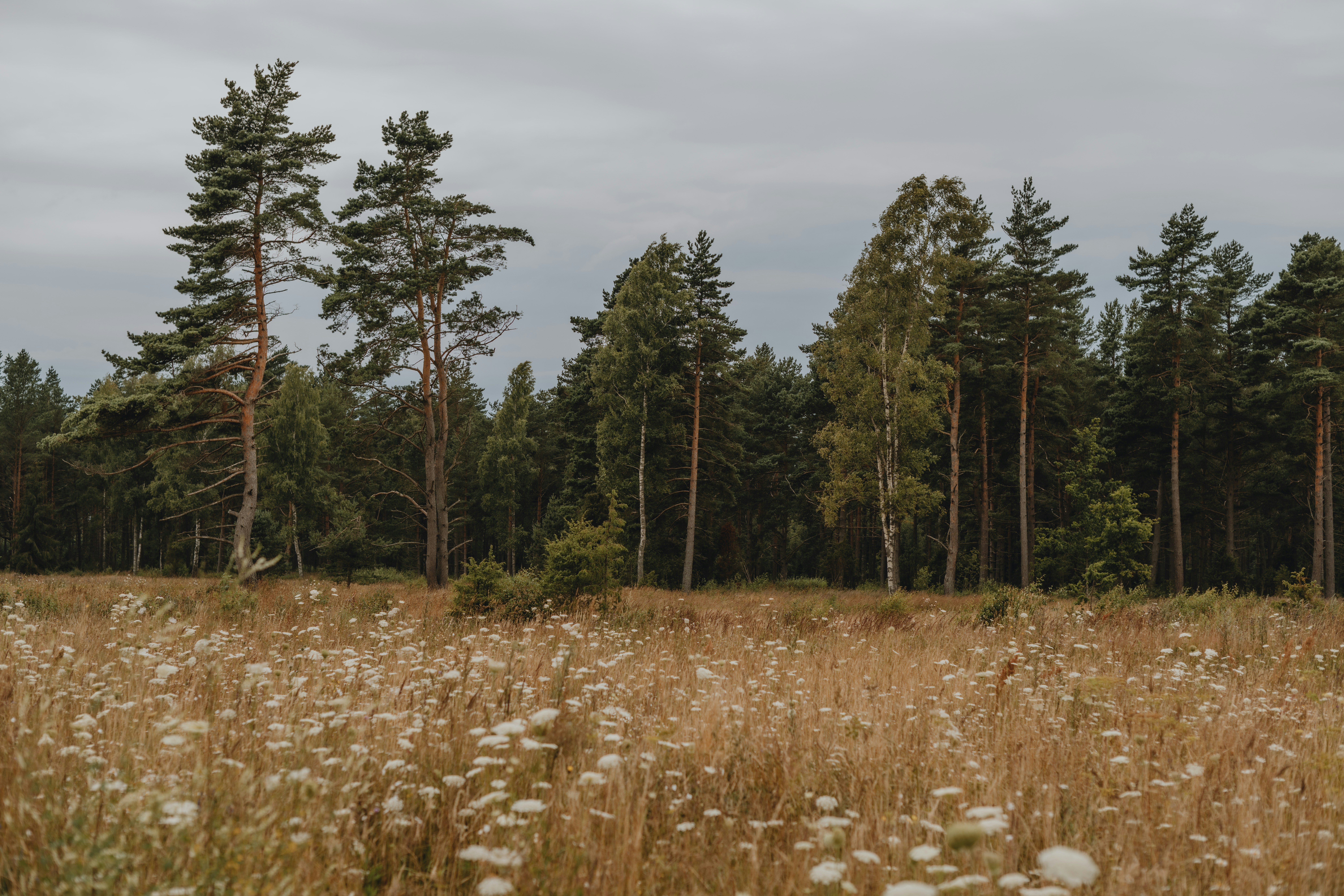 Photo by anitaaustvika