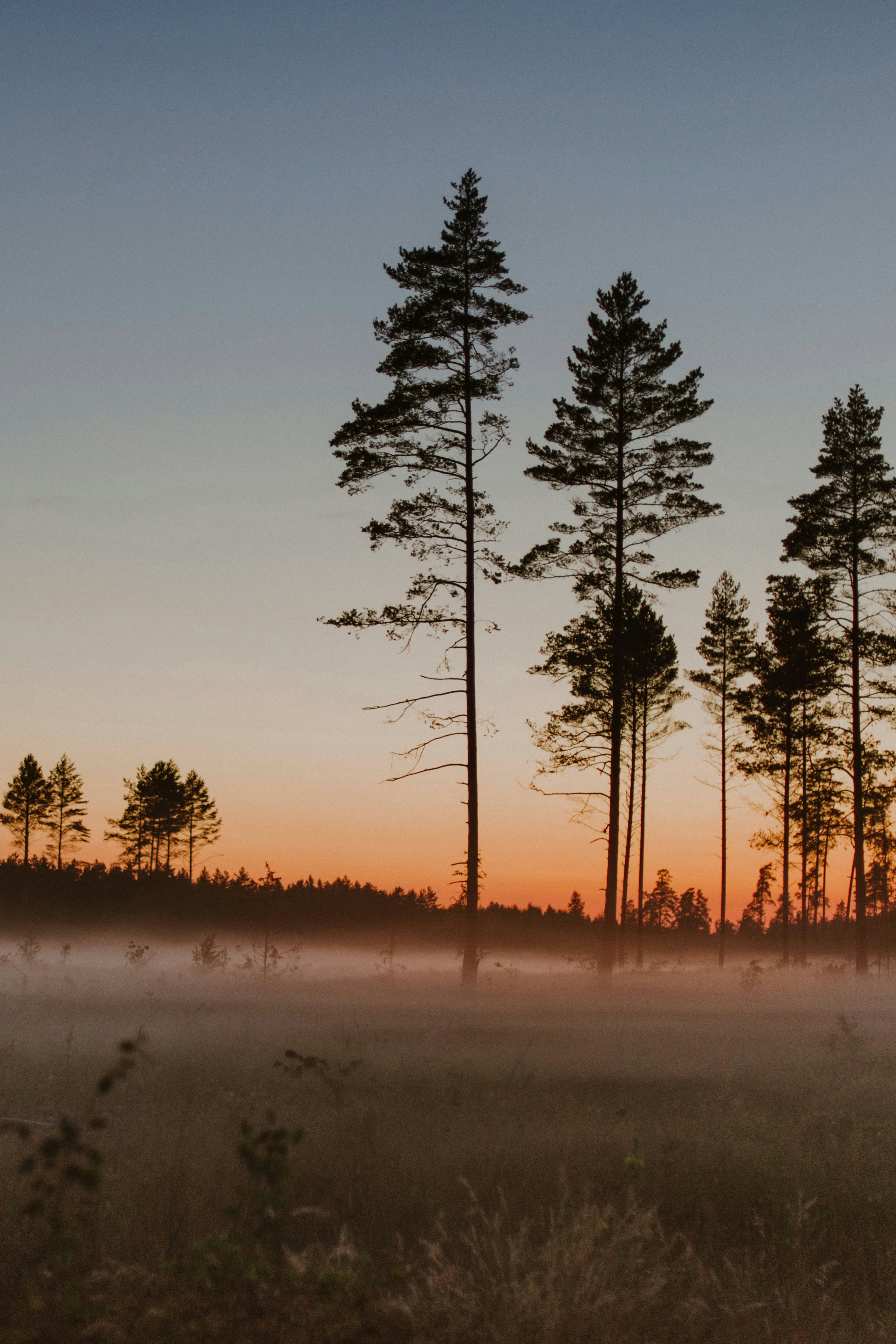 Photo by anitaaustvika