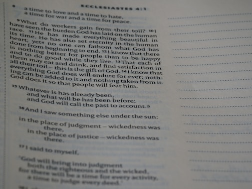 A close-up of a page from a book, specifically a biblical text from Ecclesiastes, featuring text highlighted with verse numbers. The text discusses philosophical reflections on life and human existence.