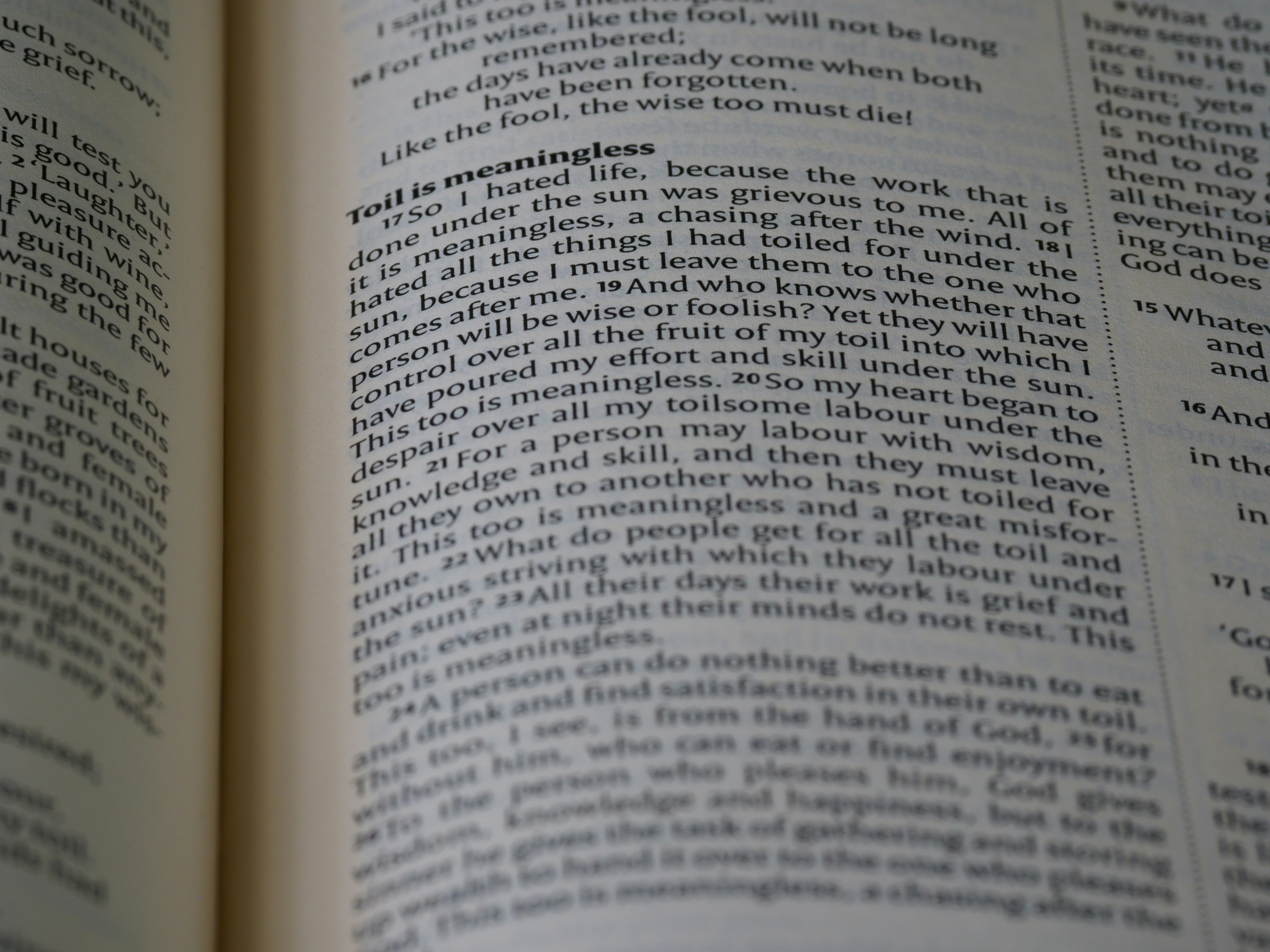 Photo by brett_jordan