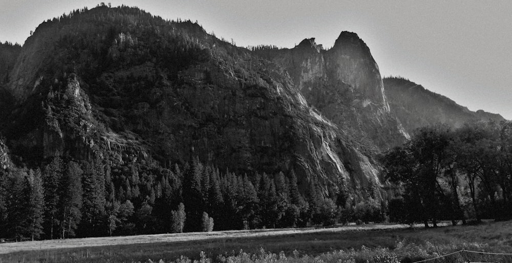 a mountain with trees and a road