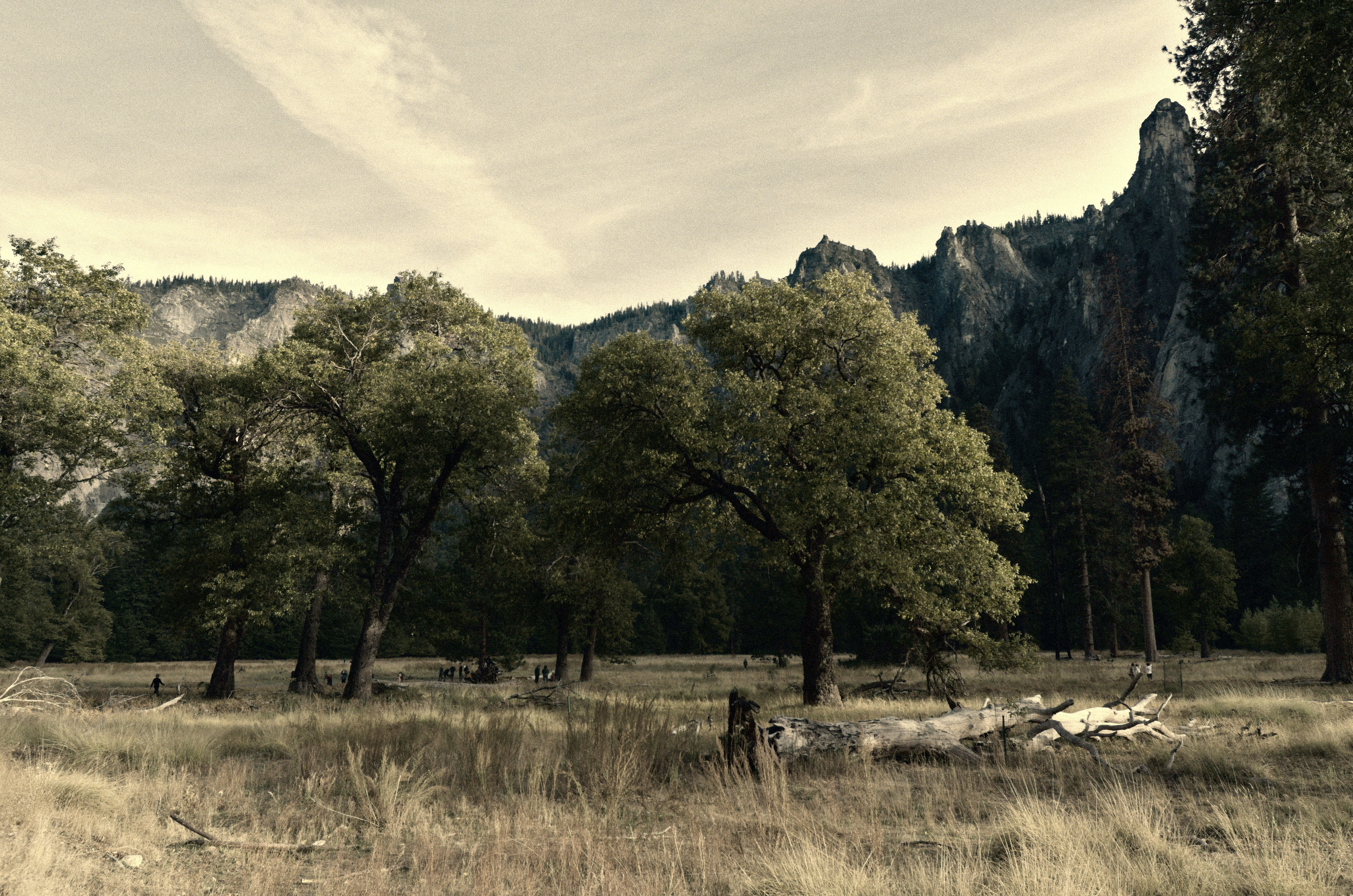 De Sequoiahof