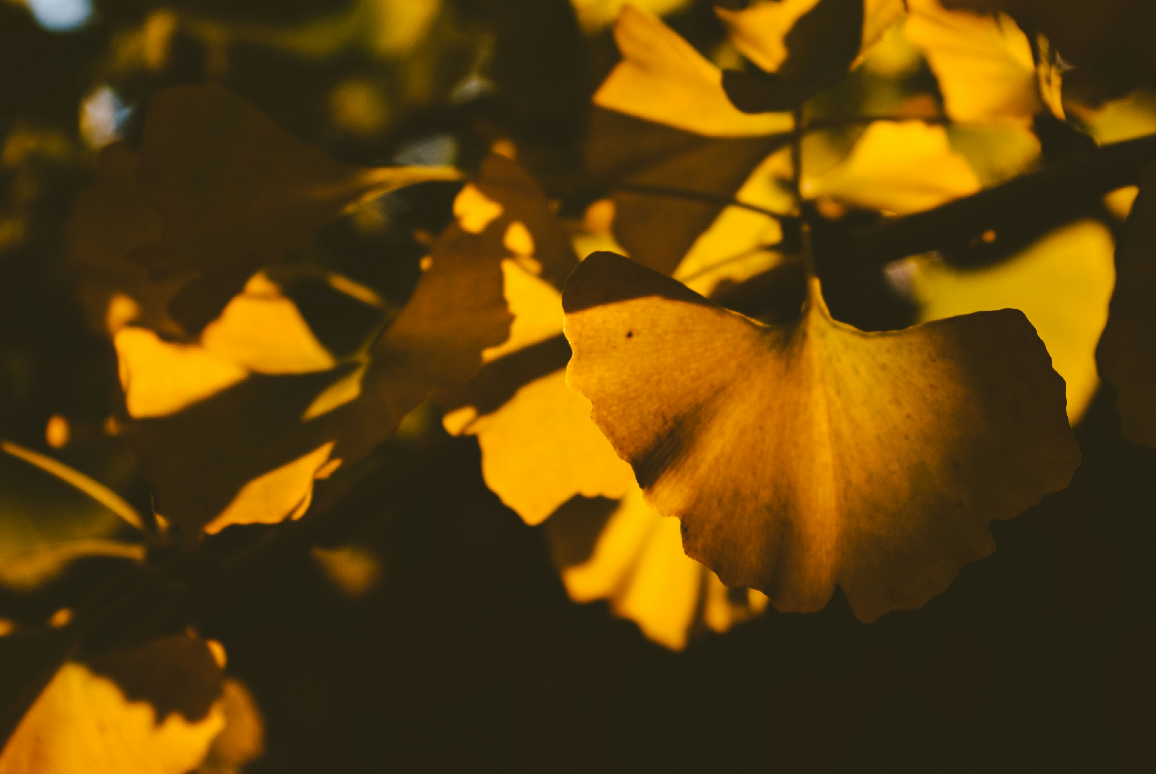 Photo by moonmoons_days