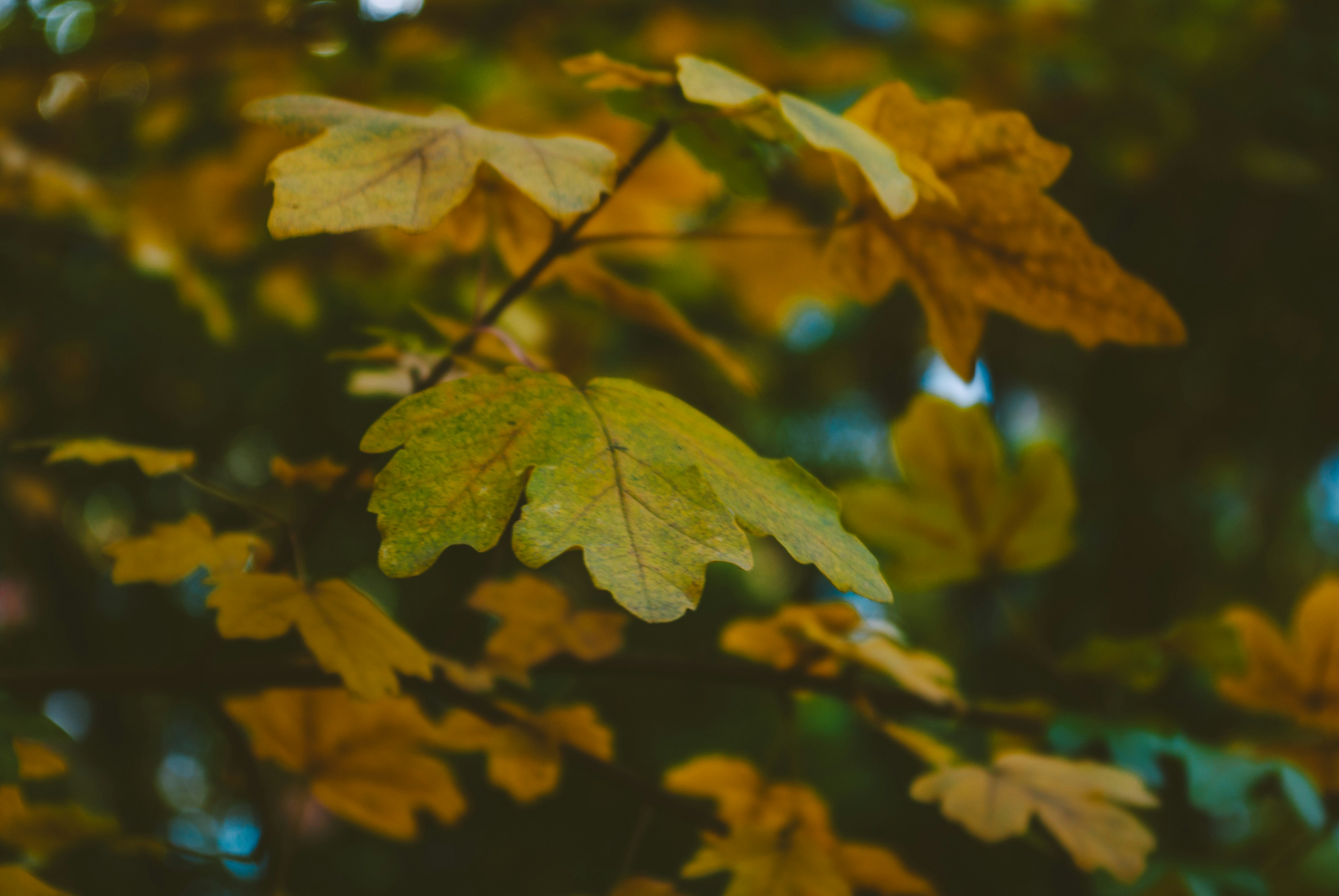 Photo by moonmoons_days