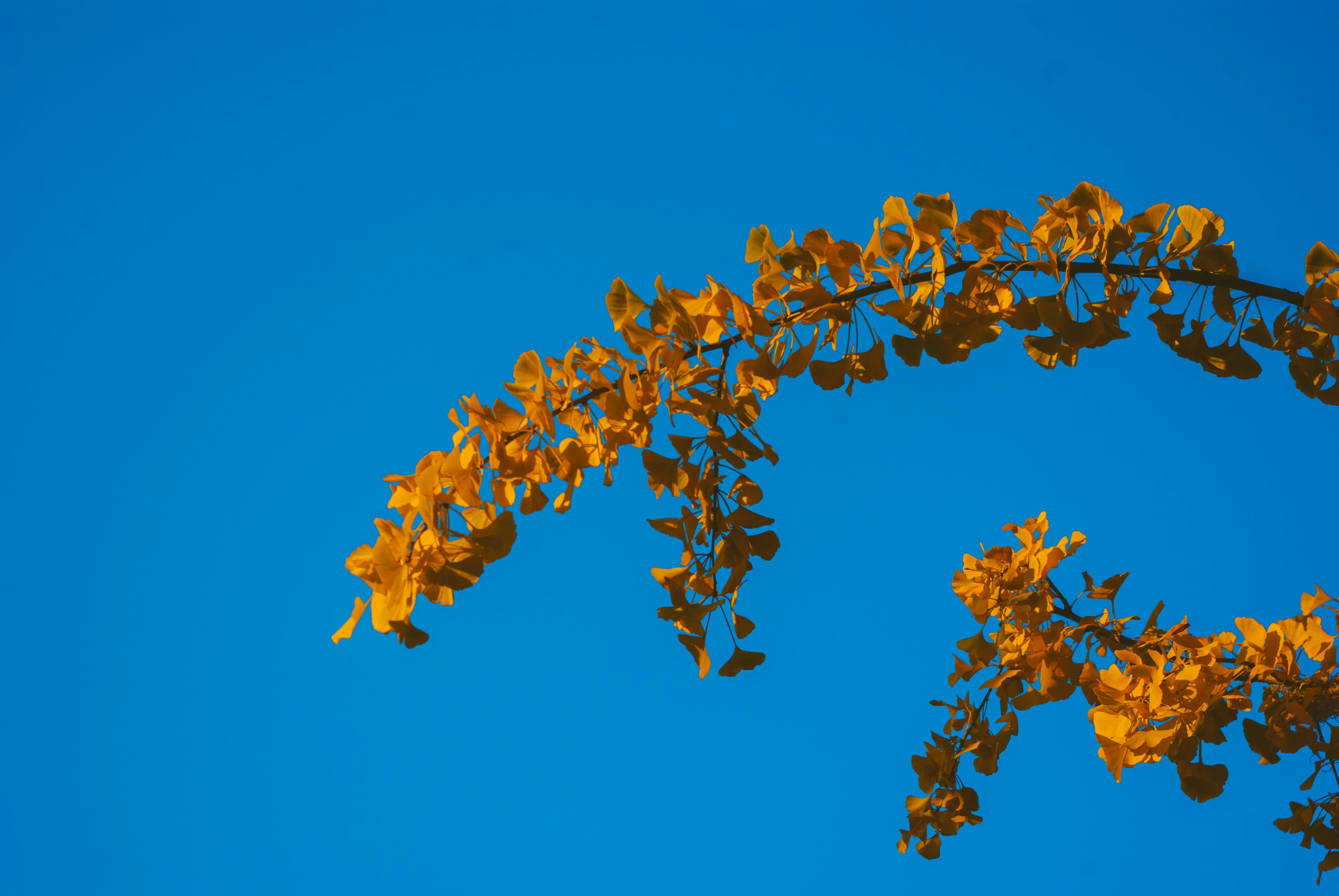 Photo by moonmoons_days