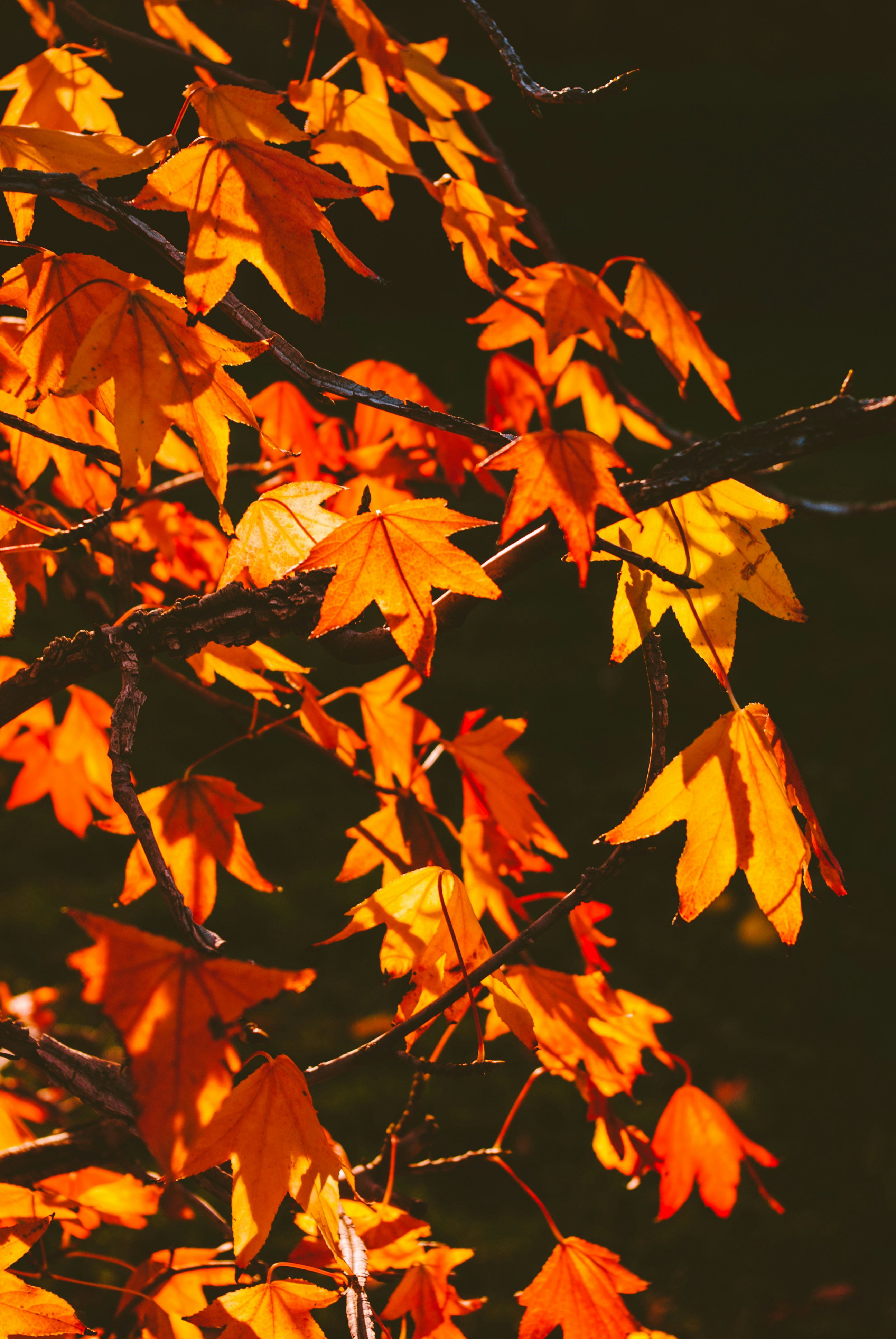 Photo by moonmoons_days